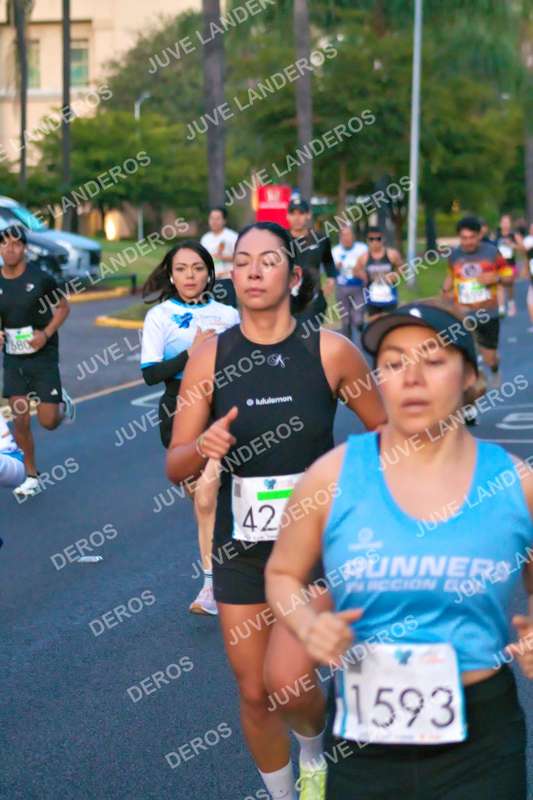 Foto del SERIAL DE CARRERAS DE GUADALAJARA — FECHA AV. NORMALISTAS en Vía RecreActiva Metropolitana, Av. Normalistas, Jardines Alcalde, Guadalajara a las 06:36 · dorsal 42, 1593