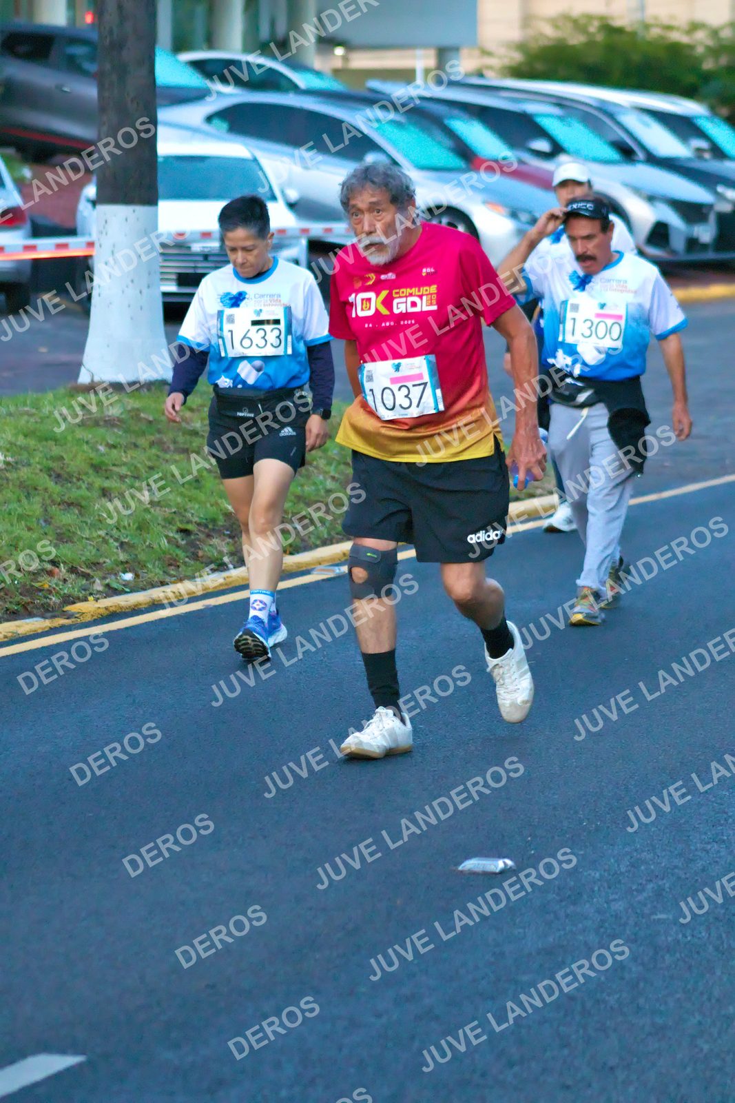 Foto del SERIAL DE CARRERAS DE GUADALAJARA — FECHA AV. NORMALISTAS en Vía RecreActiva Metropolitana, Av. Normalistas, Jardines Alcalde, Guadalajara a las 06:42 · dorsal 1633, 300, 1037, 1