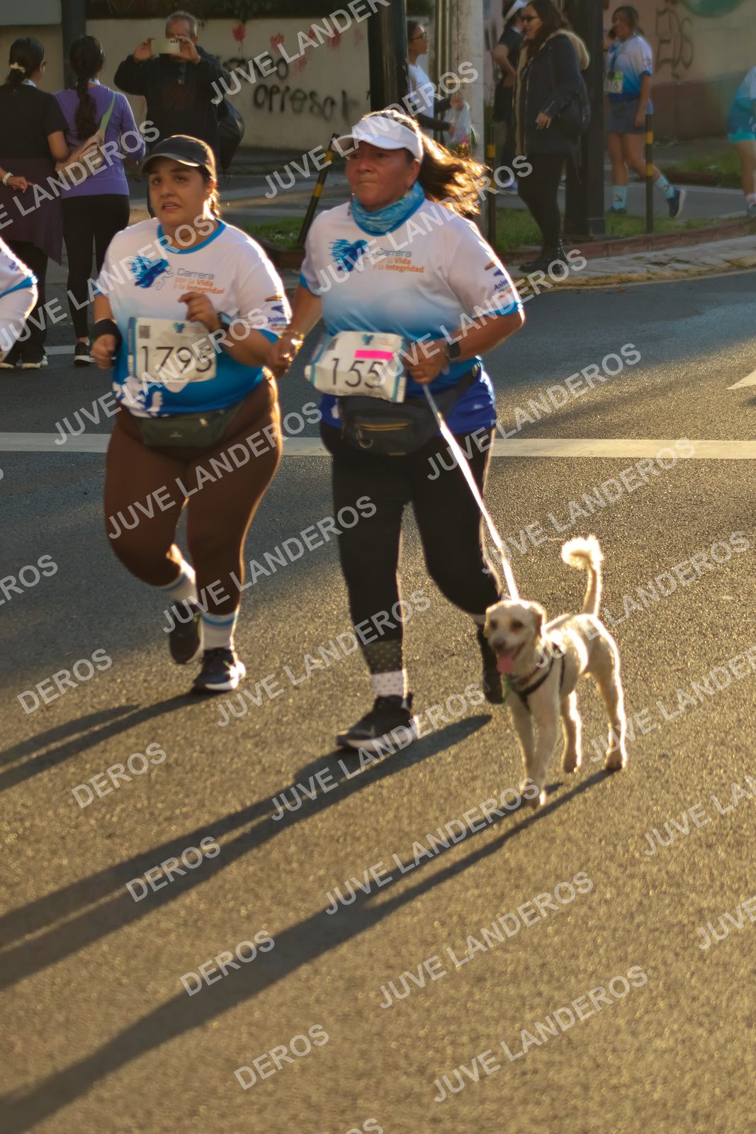 Foto del SERIAL DE CARRERAS DE GUADALAJARA — FECHA AV. NORMALISTAS en Vía RecreActiva Metropolitana, Av. Normalistas, Jardines Alcalde, Guadalajara a las 07:22 · dorsal 1795, 155, 16