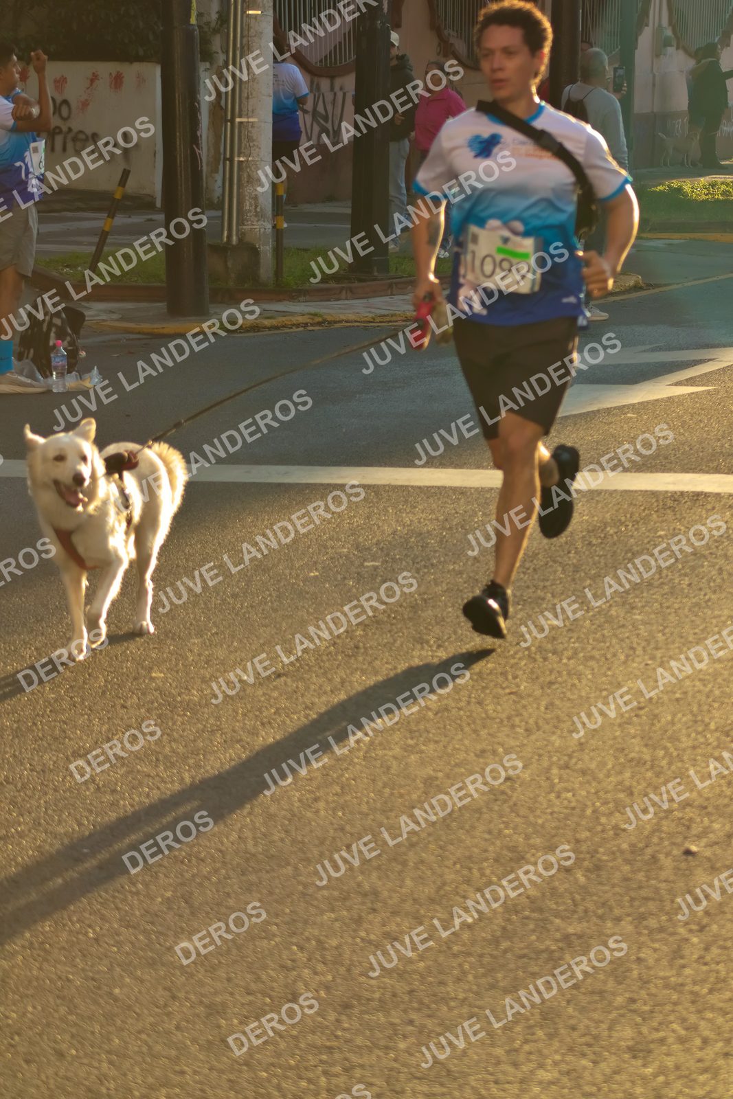 Foto del SERIAL DE CARRERAS DE GUADALAJARA — FECHA AV. NORMALISTAS en Vía RecreActiva Metropolitana, Av. Normalistas, Jardines Alcalde, Guadalajara a las 07:17 · dorsal 99