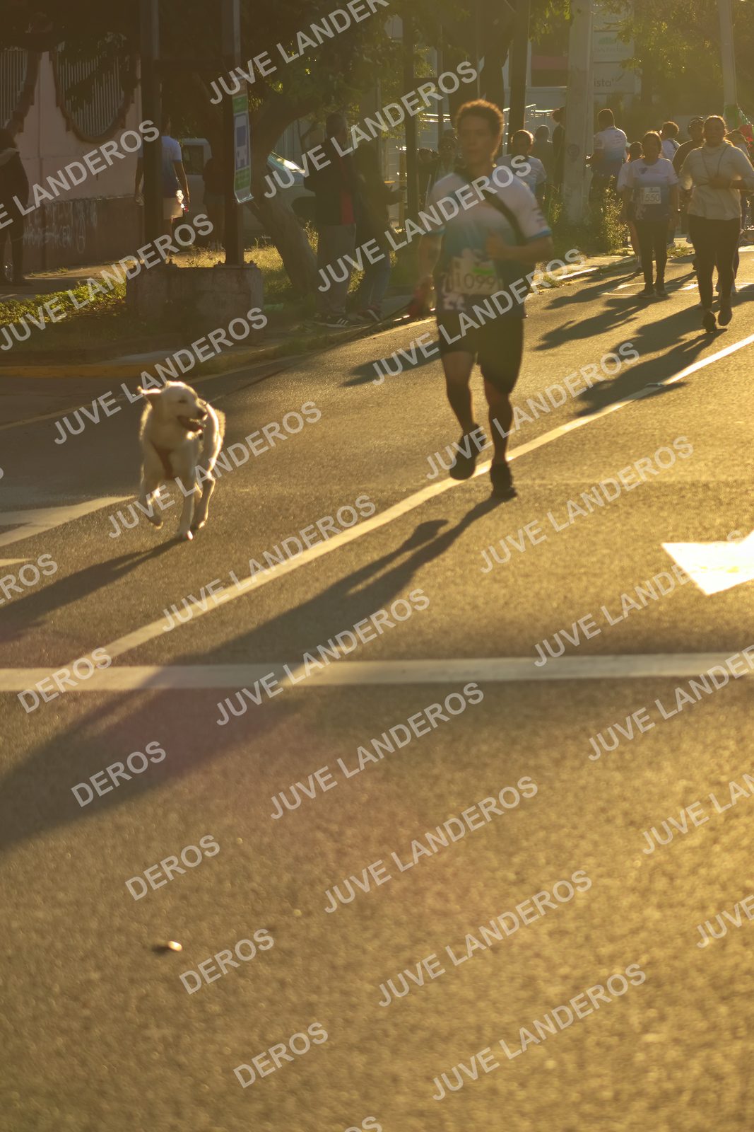 Foto del SERIAL DE CARRERAS DE GUADALAJARA — FECHA AV. NORMALISTAS en Vía RecreActiva Metropolitana, Av. Normalistas, Jardines Alcalde, Guadalajara a las 07:17