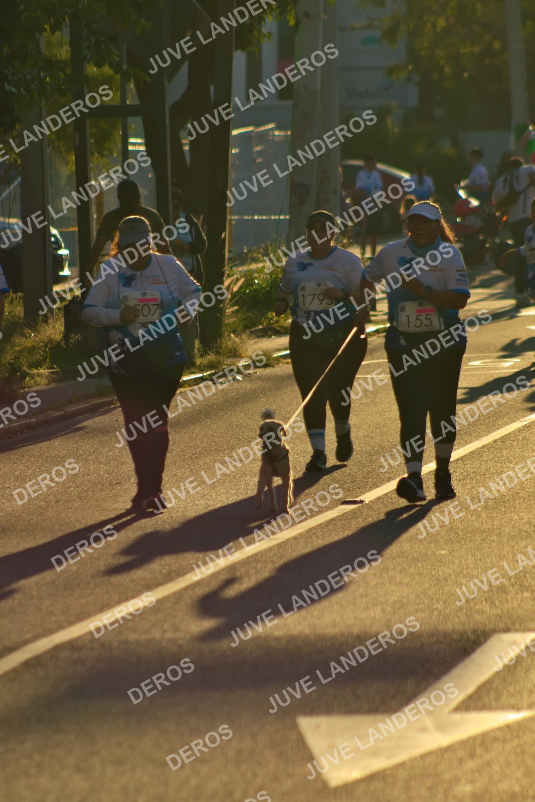 Foto del SERIAL DE CARRERAS DE GUADALAJARA — FECHA AV. NORMALISTAS en Vía RecreActiva Metropolitana, Av. Normalistas, Jardines Alcalde, Guadalajara a las 07:22 · dorsal 155, 507, 1795
