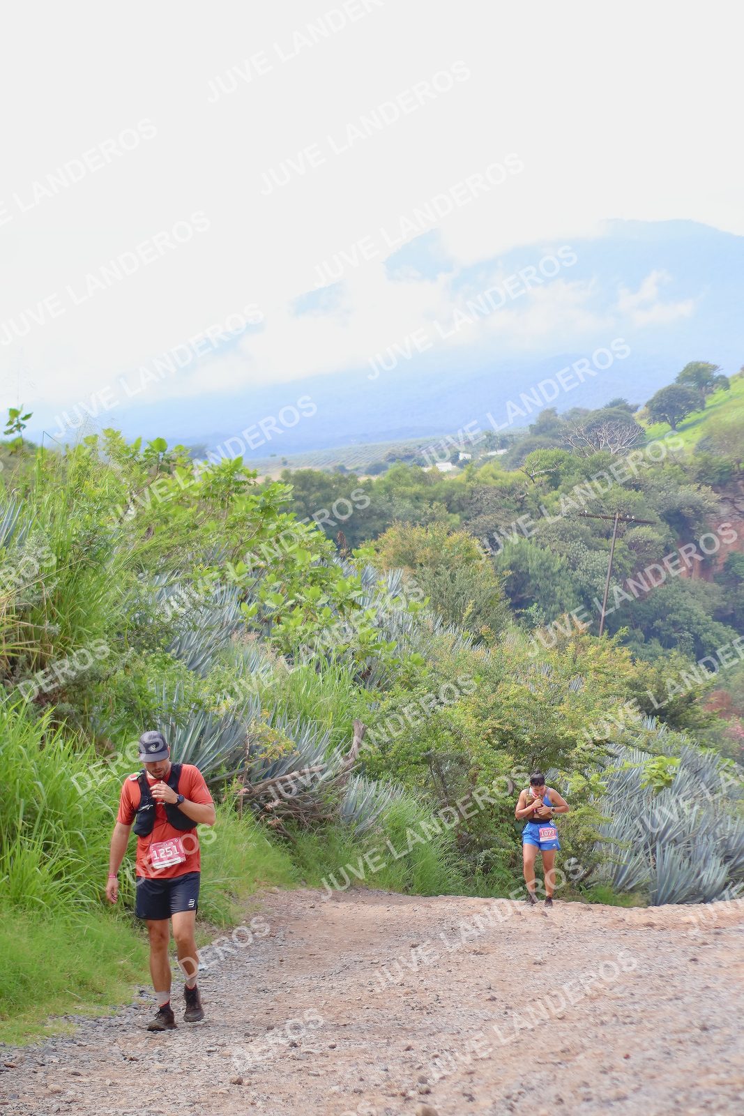 Foto del ULTRA TEQUILA 2026 en Tequila, Jalisco a las 09:56 · Ruta · dorsal 1251, 1073
