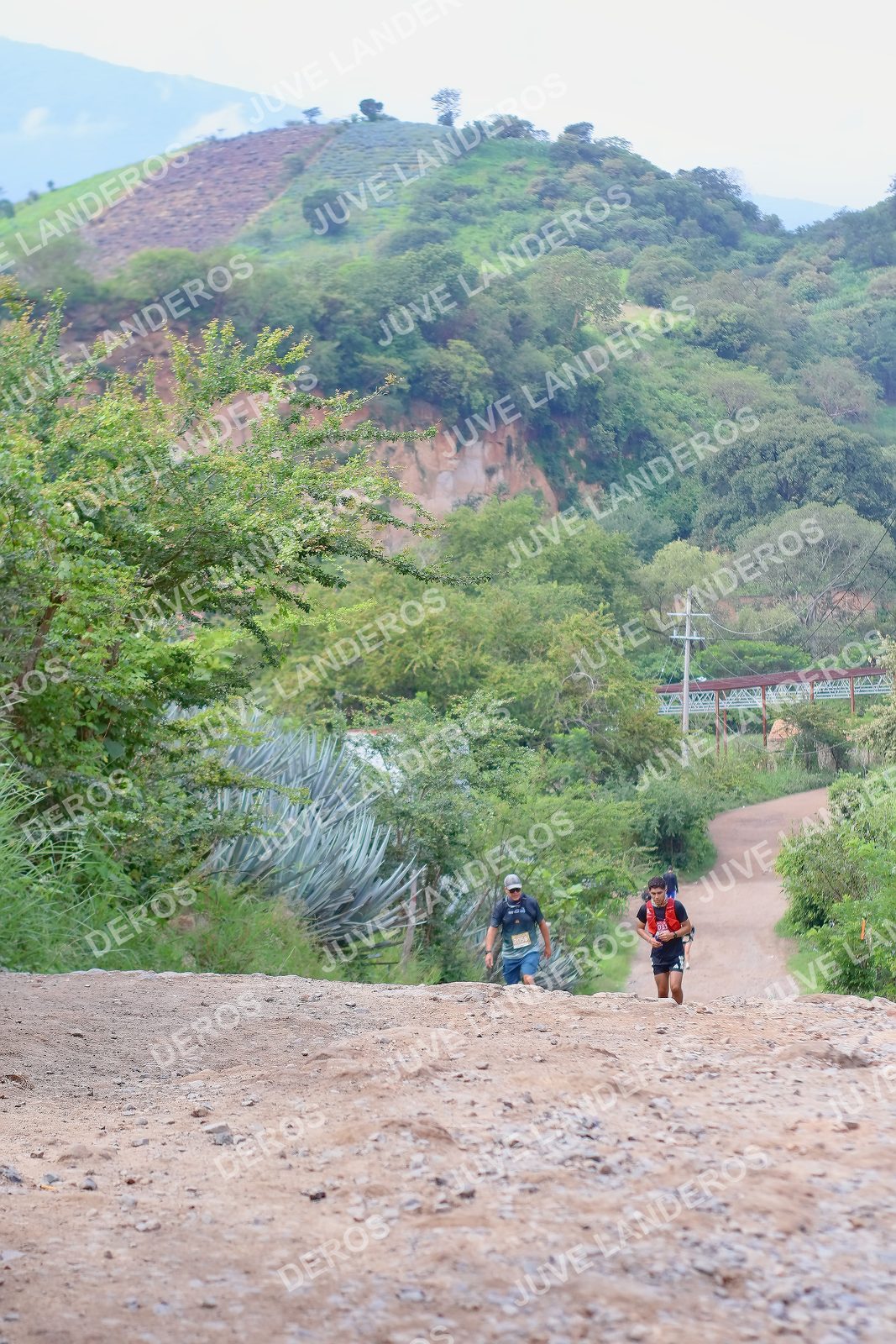 Foto del ULTRA TEQUILA 2026 en Tequila, Jalisco a las 09:54 · Ruta