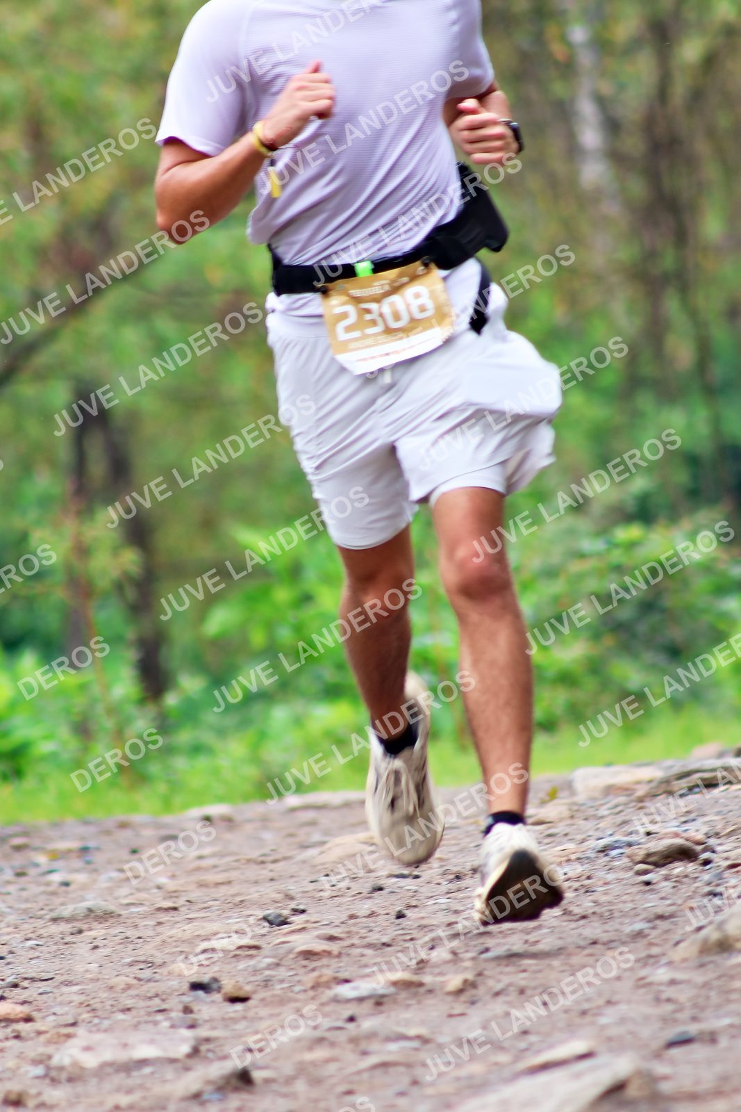 Foto del ULTRA TEQUILA 2026 en Tequila, Jalisco a las 08:35 · Ruta · dorsal 2308