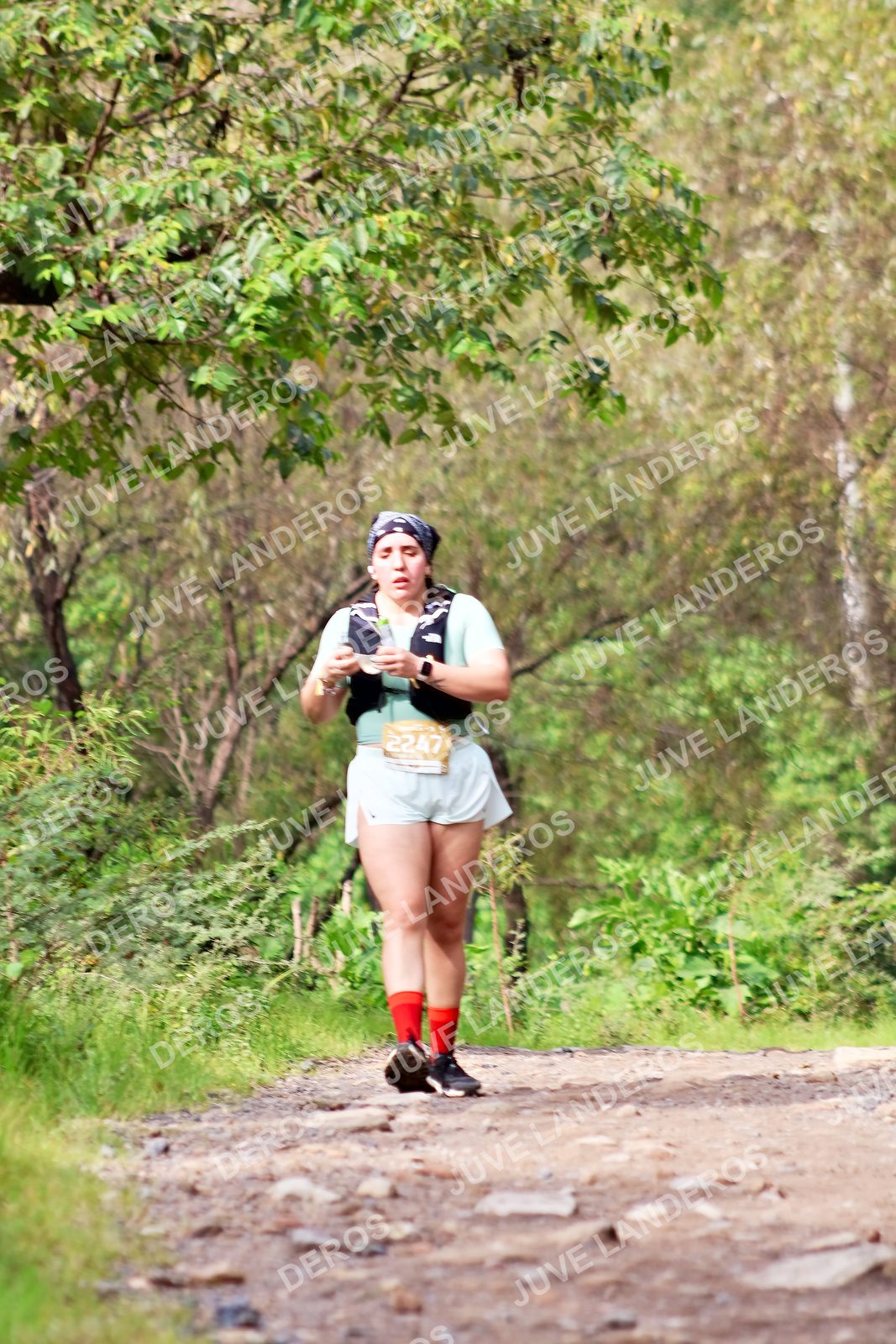 Foto del ULTRA TEQUILA 2026 en Tequila, Jalisco a las 09:17 · Ruta · dorsal 2247