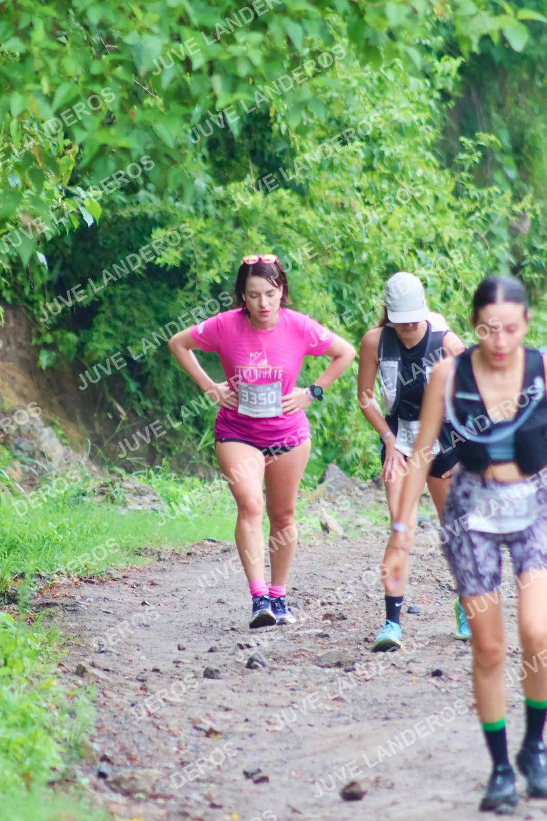 Foto del ULTRA TEQUILA 2026 en Tequila, Jalisco a las 07:48 · Ruta · dorsal 3350, 33, 3149