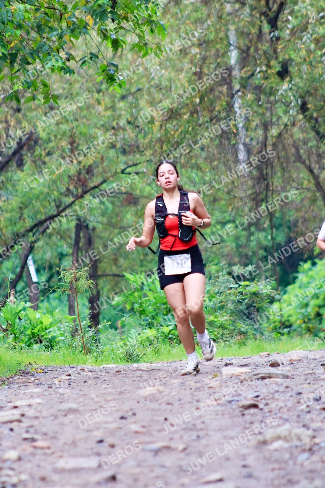 Foto del ULTRA TEQUILA 2026 en Tequila, Jalisco a las 08:19 · Ruta · dorsal 3310