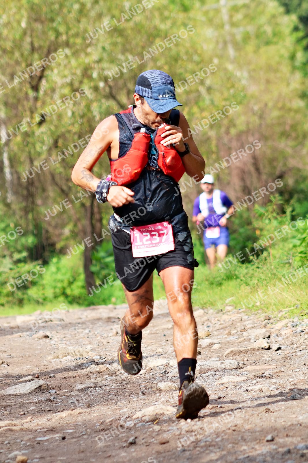 Foto del ULTRA TEQUILA 2026 en Tequila, Jalisco a las 09:17 · Ruta · dorsal 1237