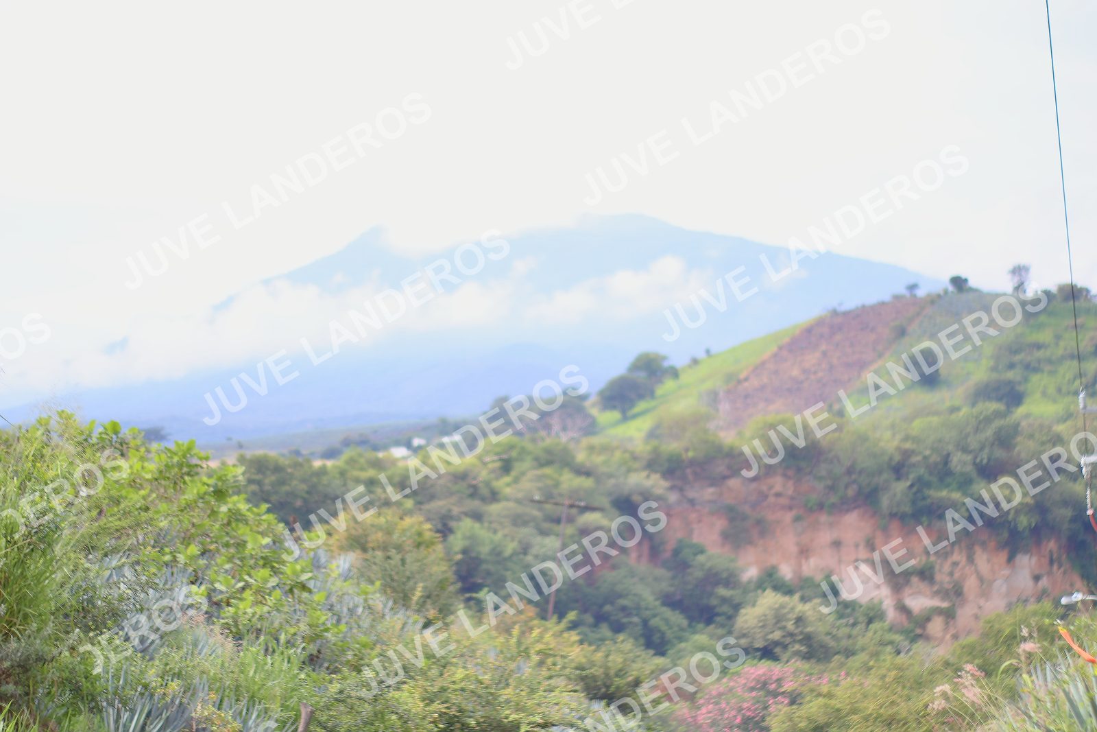 Foto del ULTRA TEQUILA 2026 en Tequila, Jalisco a las 09:55 · Ruta