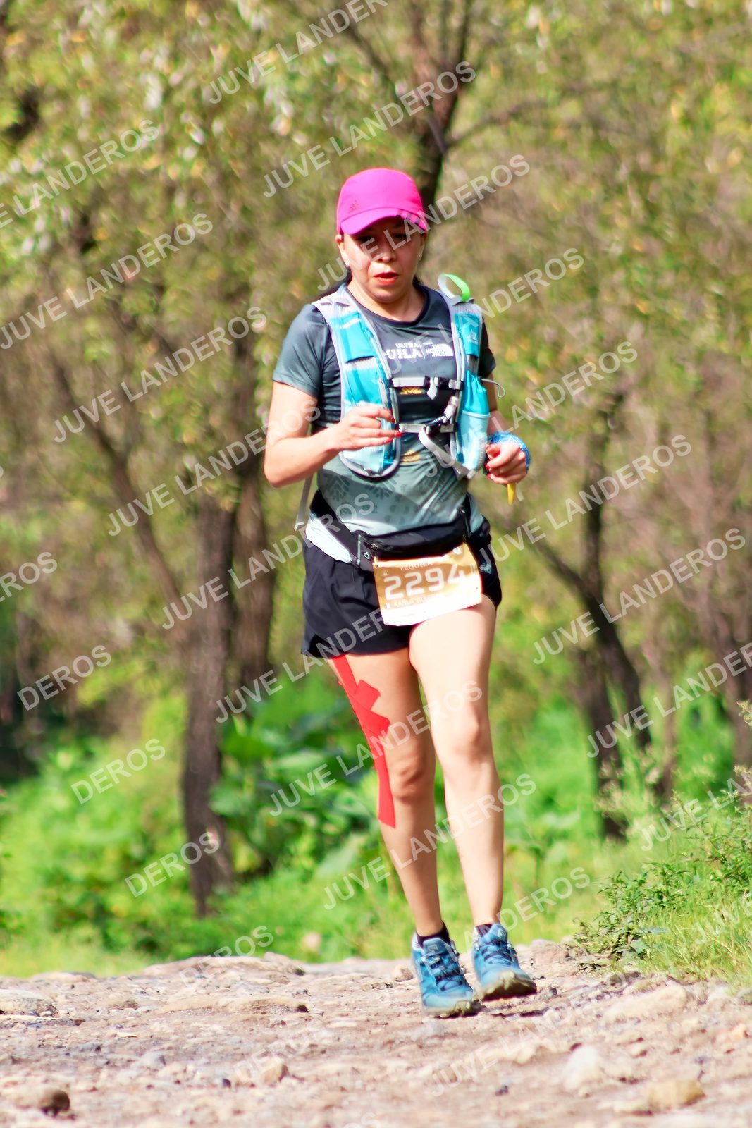 Foto del ULTRA TEQUILA 2026 en Tequila, Jalisco a las 09:24 · Ruta · dorsal 2294