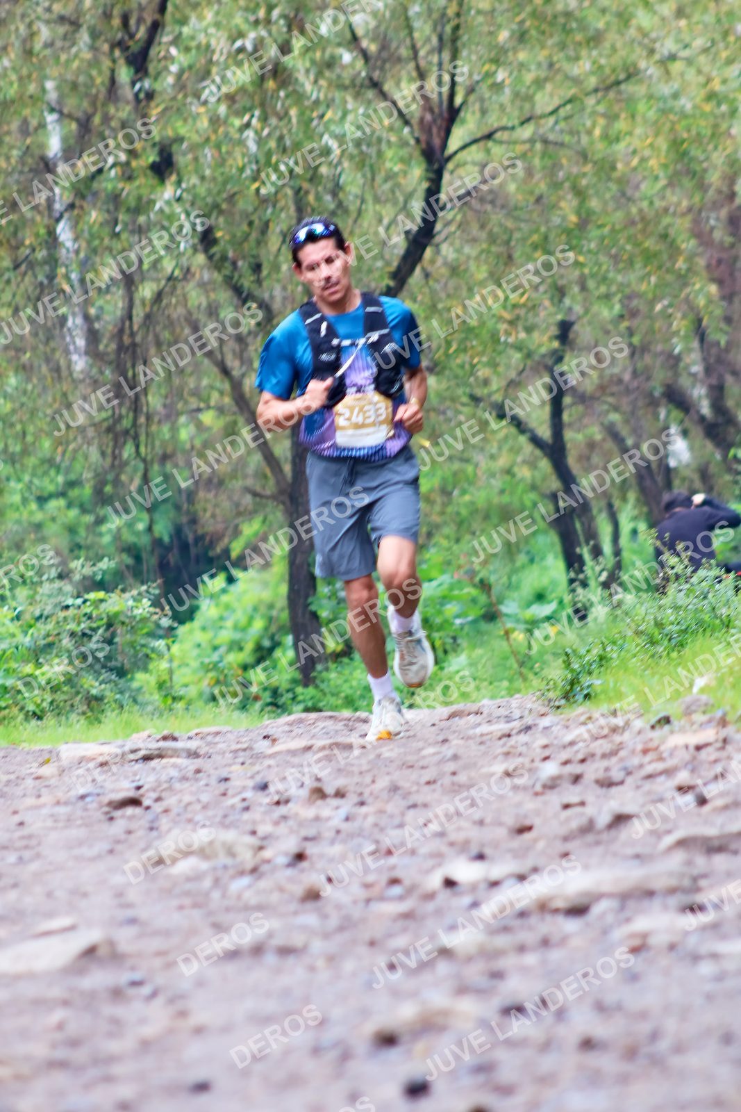 Foto del ULTRA TEQUILA 2026 en Tequila, Jalisco a las 08:24 · Ruta · dorsal 2433