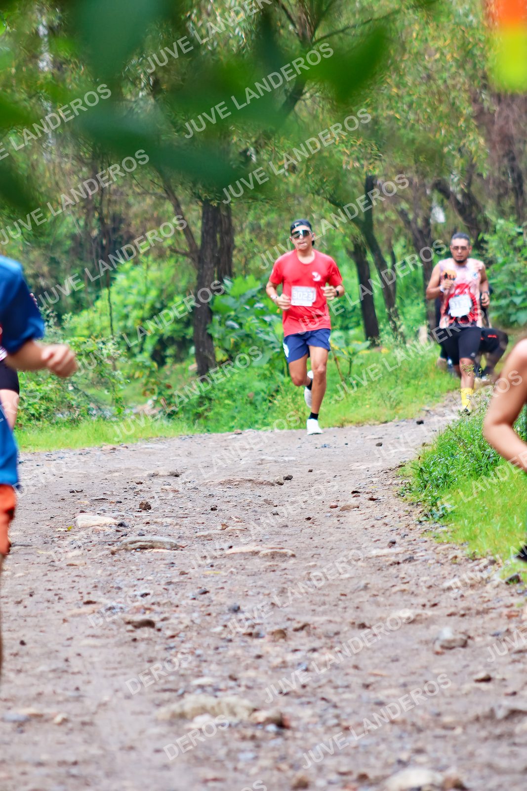 Foto del ULTRA TEQUILA 2026 en Tequila, Jalisco a las 08:14 · Ruta · dorsal 3023