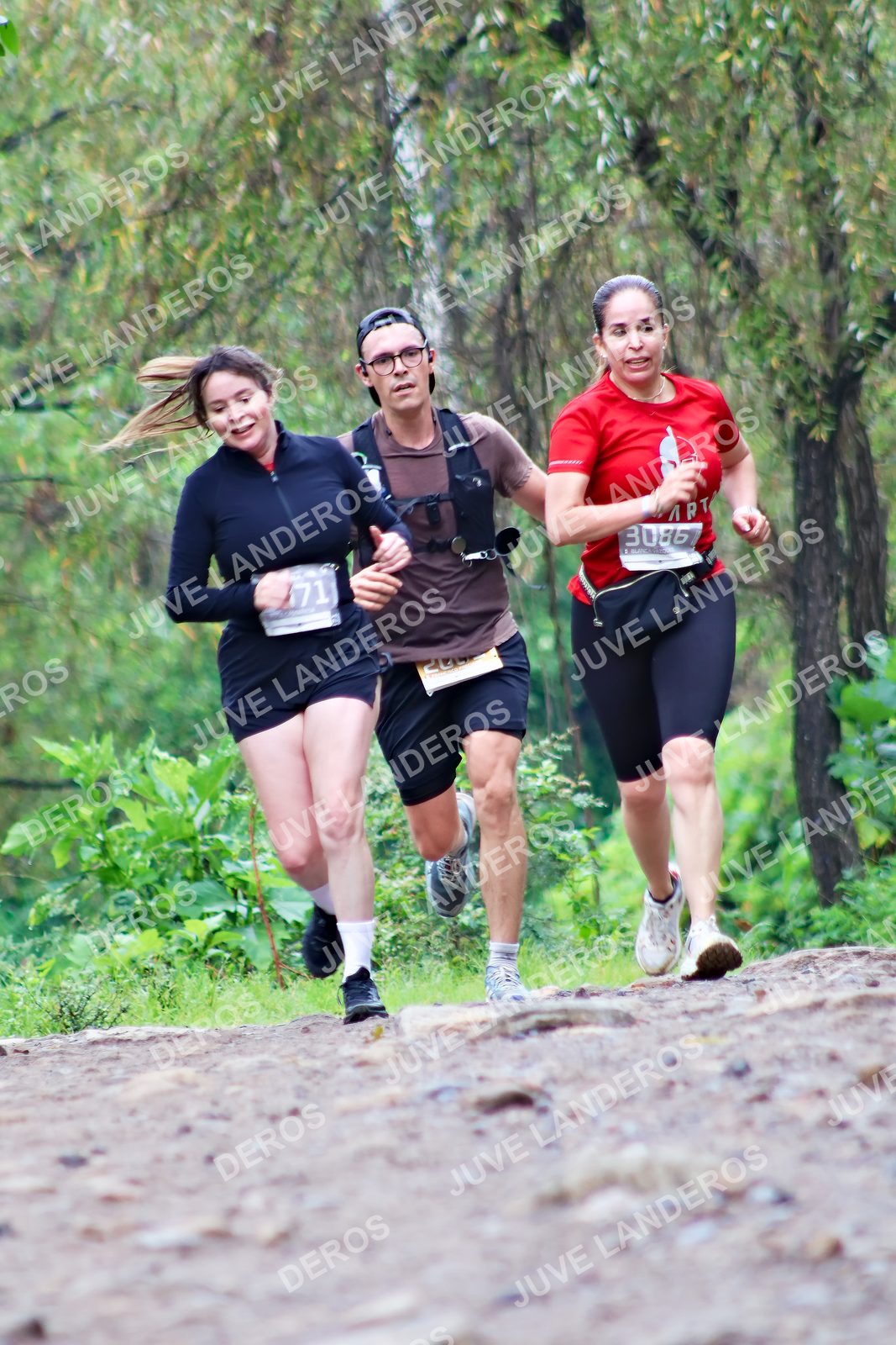 Foto del ULTRA TEQUILA 2026 en Tequila, Jalisco a las 08:35 · Ruta · dorsal 71