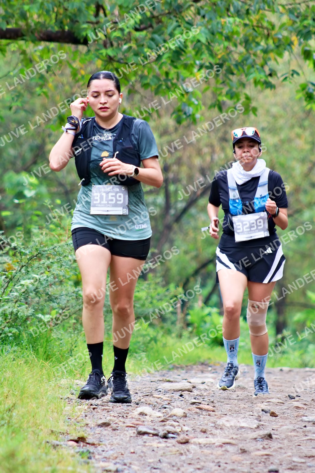Foto del ULTRA TEQUILA 2026 en Tequila, Jalisco a las 08:32 · Ruta · dorsal 3159, 3239, 59