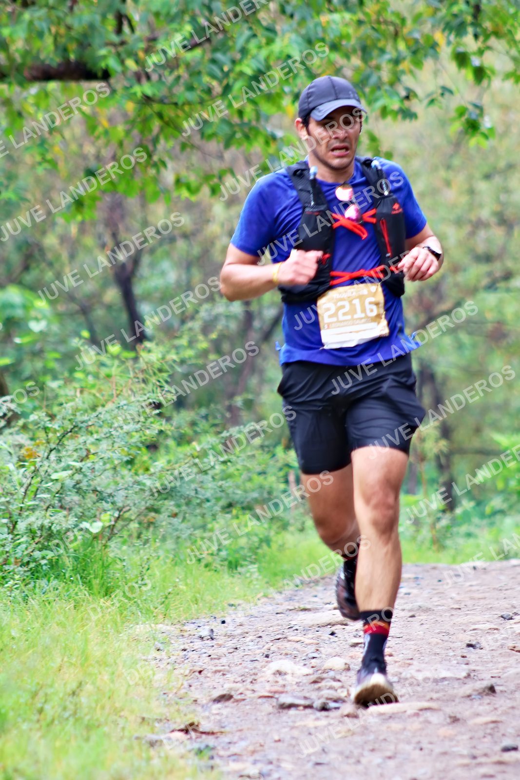 Foto del ULTRA TEQUILA 2026 en Tequila, Jalisco a las 08:36 · Ruta · dorsal 2216