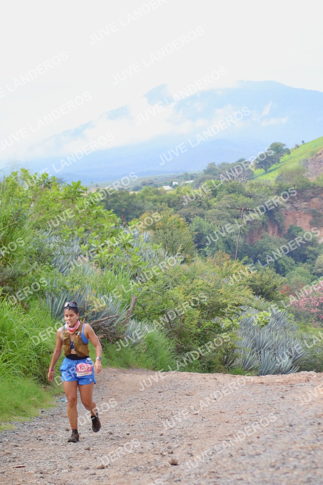 Foto del ULTRA TEQUILA 2026 en Tequila, Jalisco a las 09:56 · Ruta · dorsal 1073