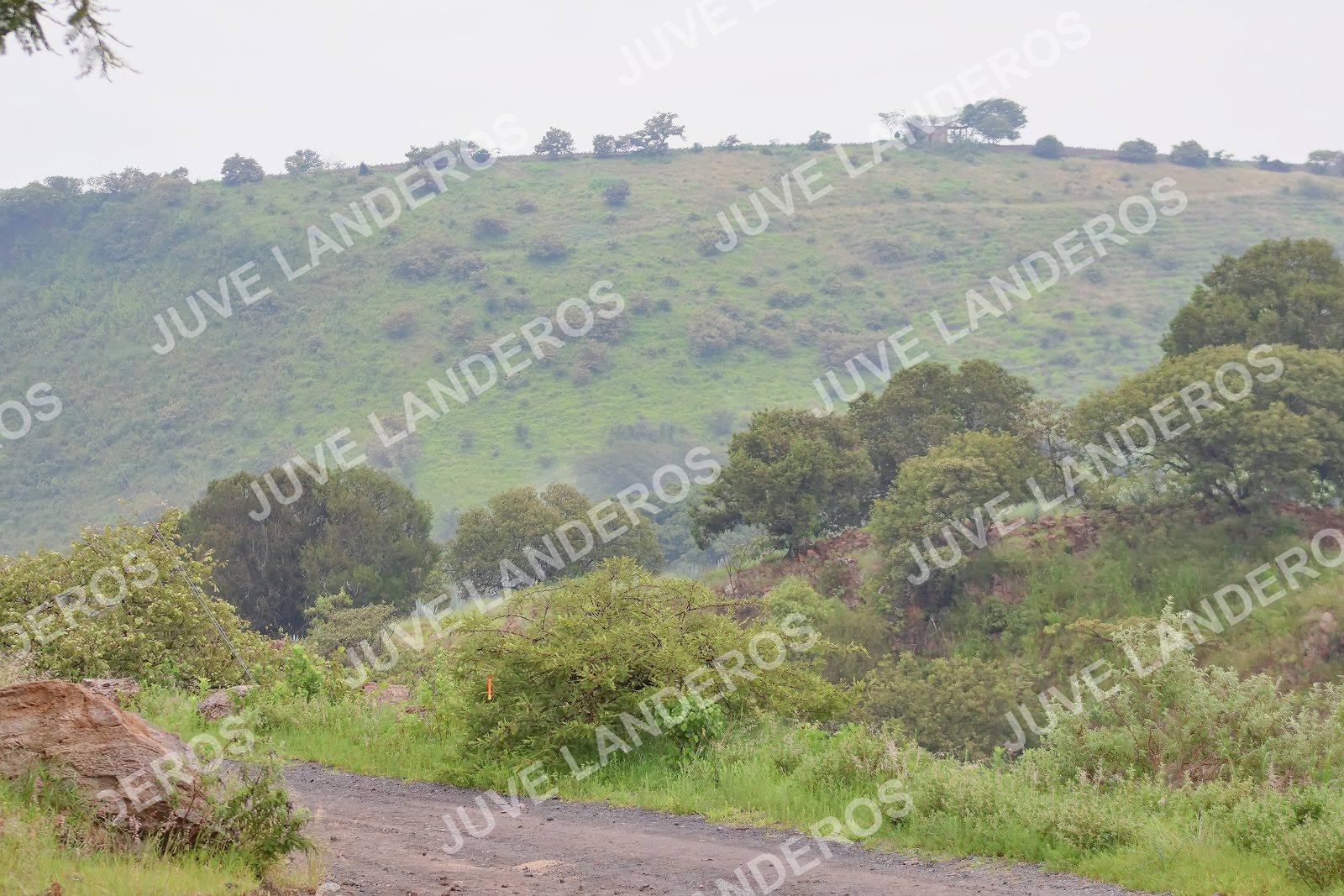 Foto del ULTRA TEQUILA 2026 en Tequila, Jalisco a las 07:42 · Ruta
