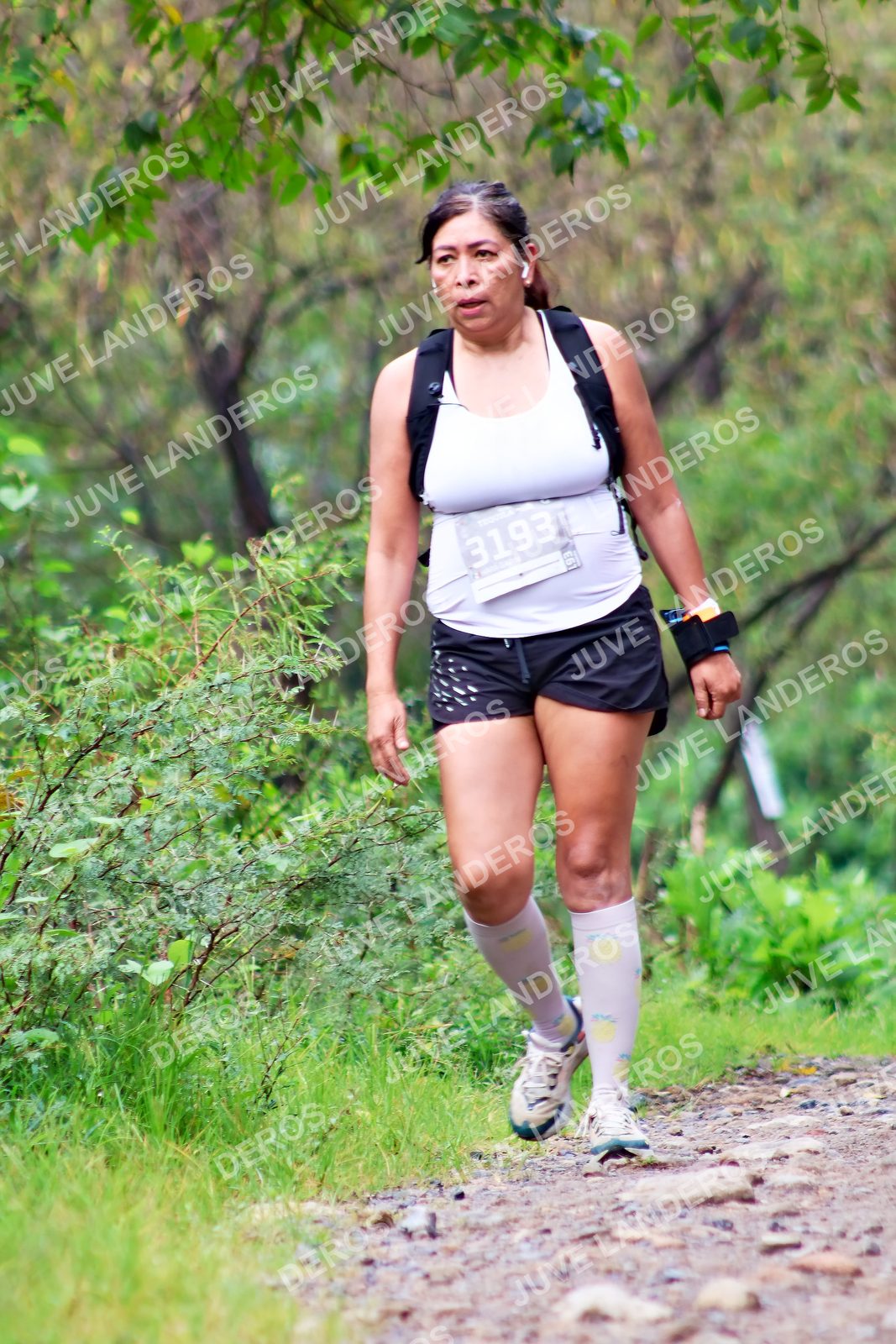 Foto del ULTRA TEQUILA 2026 en Tequila, Jalisco a las 08:42 · Ruta · dorsal 3193