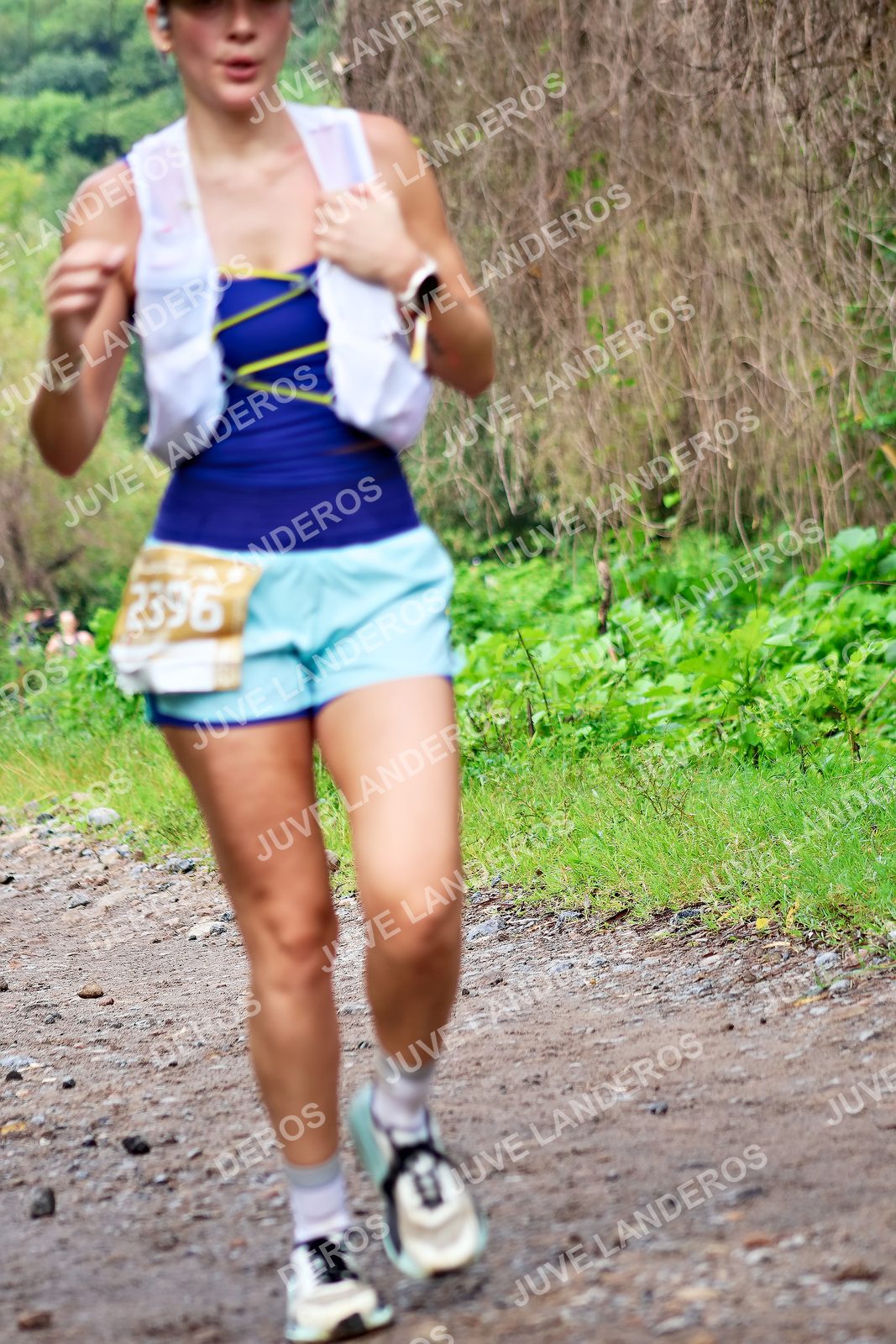 Foto del ULTRA TEQUILA 2026 en Tequila, Jalisco a las 08:50 · Ruta · dorsal 2396