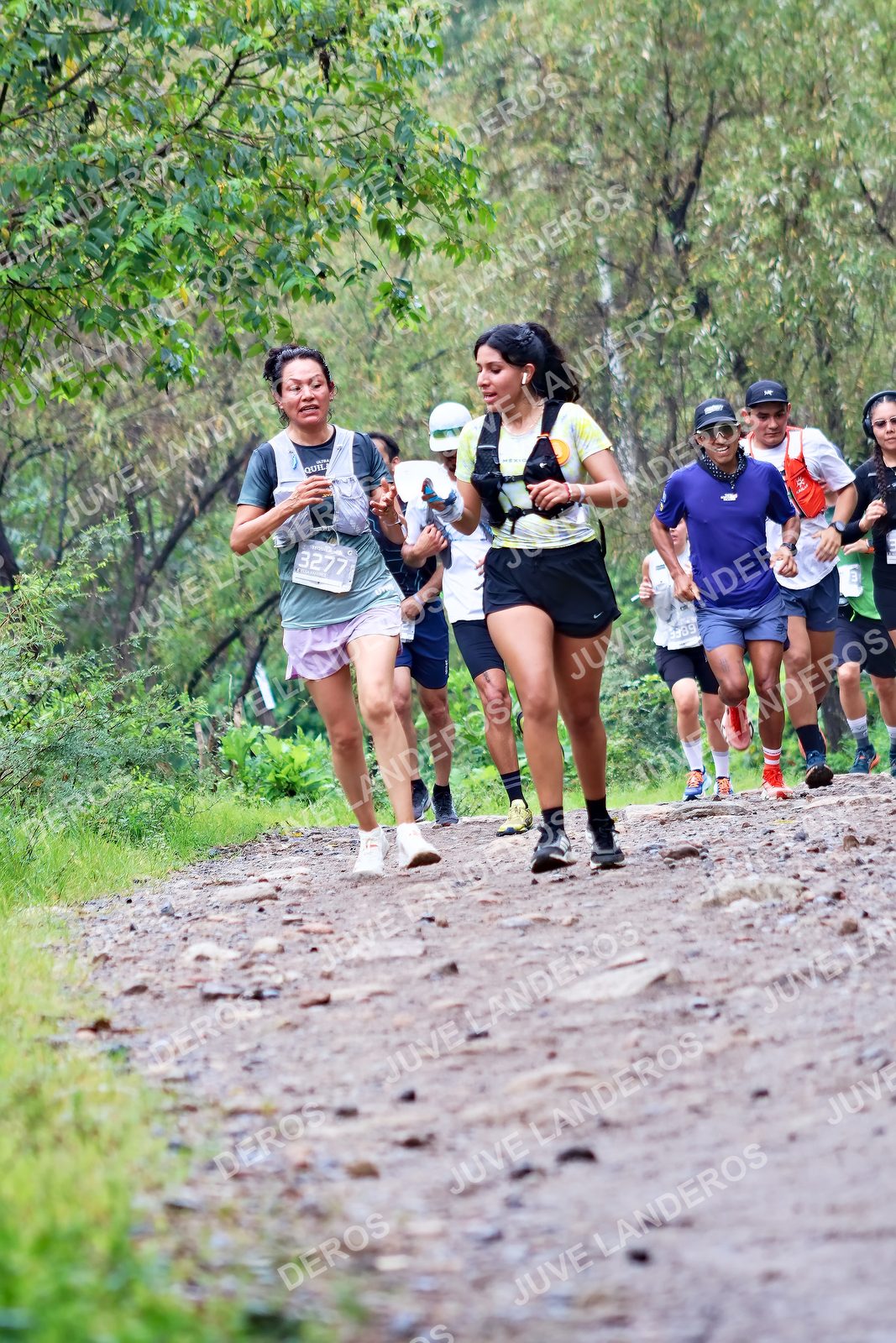 Foto del ULTRA TEQUILA 2026 en Tequila, Jalisco a las 08:28 · Ruta · dorsal 3277