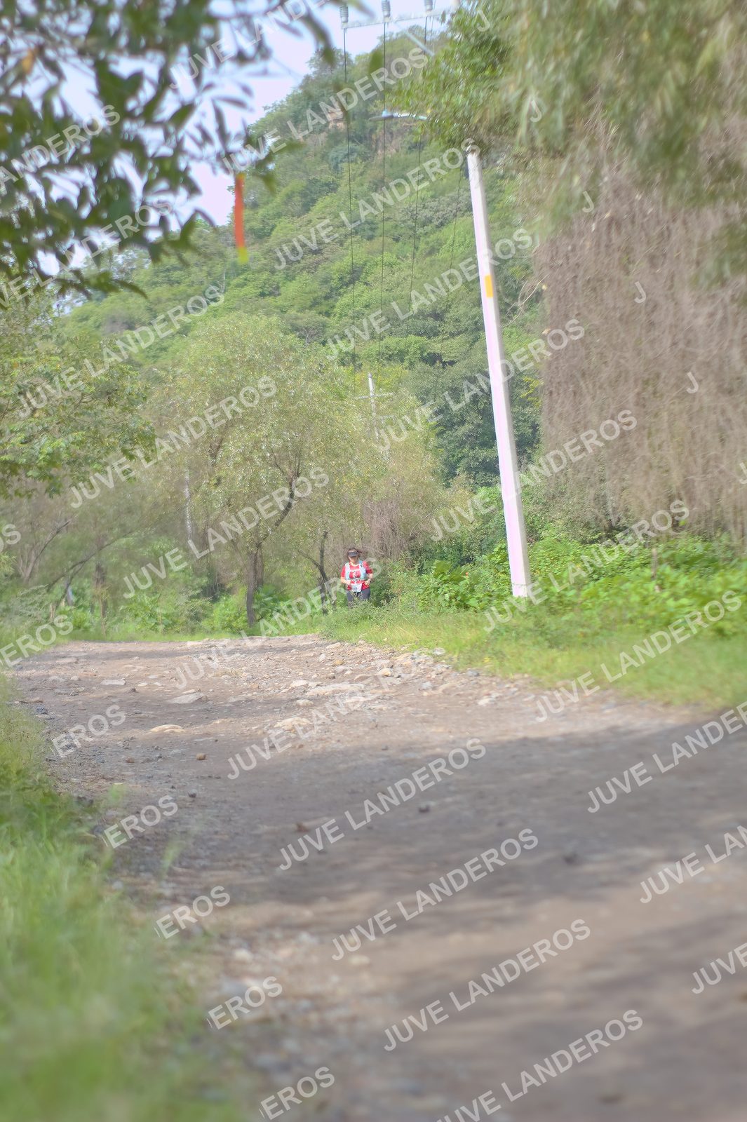 Foto del ULTRA TEQUILA 2026 en Tequila, Jalisco a las 09:29 · Ruta
