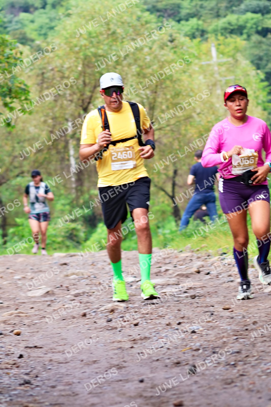 Foto del ULTRA TEQUILA 2026 en Tequila, Jalisco a las 08:45 · Ruta · dorsal 2460, 66
