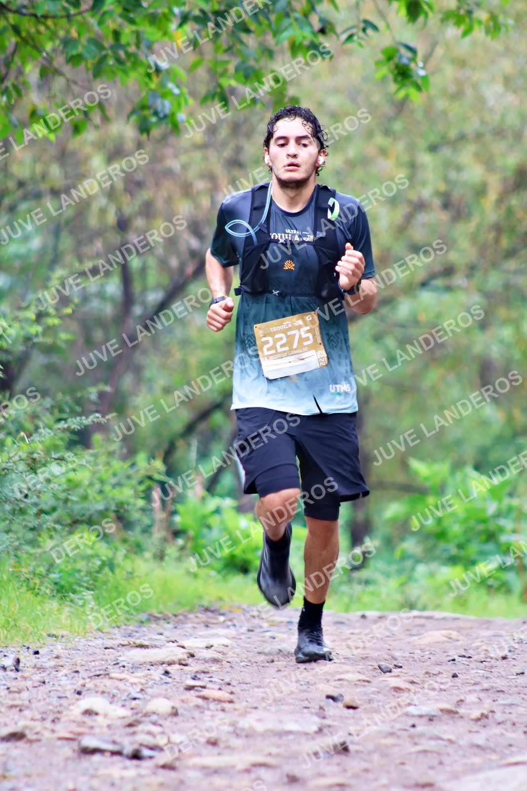 Foto del ULTRA TEQUILA 2026 en Tequila, Jalisco a las 08:33 · Ruta · dorsal 2275