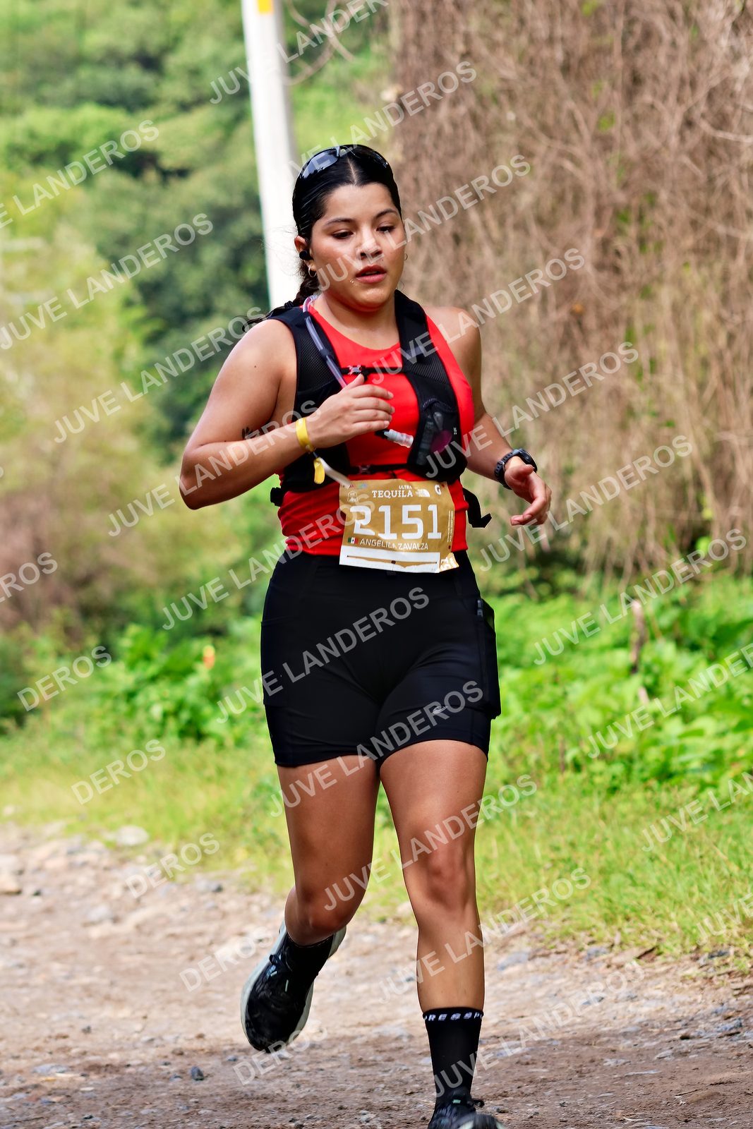 Foto del ULTRA TEQUILA 2026 en Tequila, Jalisco a las 09:28 · Ruta · dorsal 2151