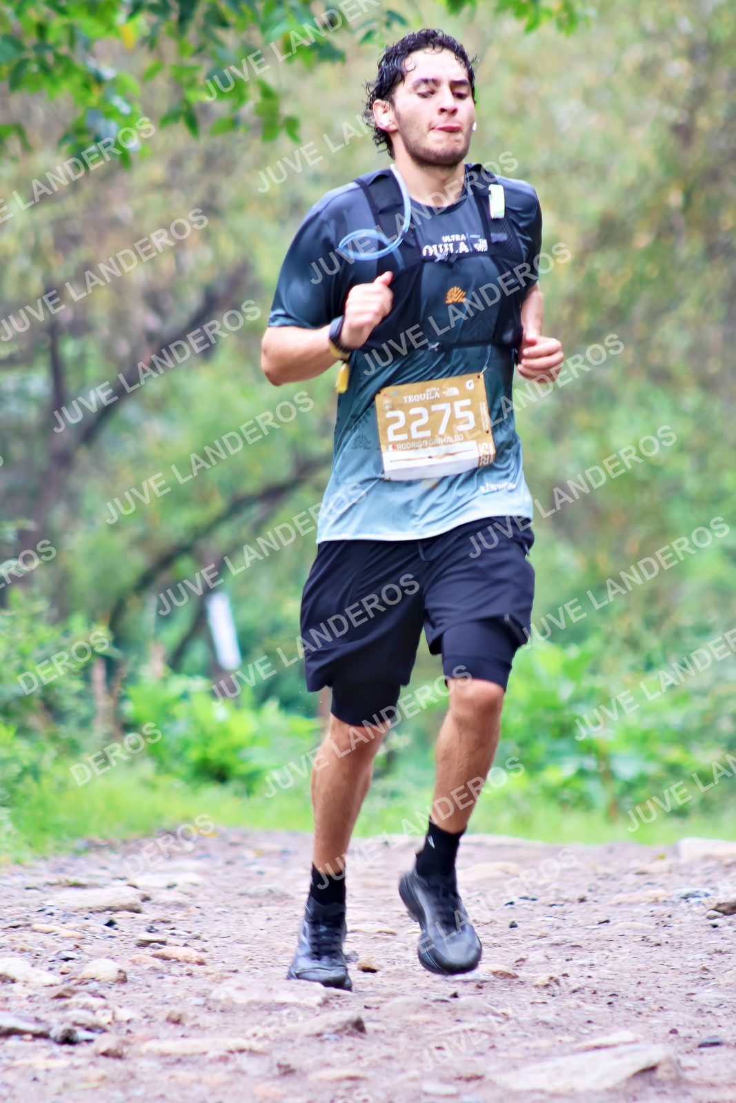 Foto del ULTRA TEQUILA 2026 en Tequila, Jalisco a las 08:33 · Ruta · dorsal 2275