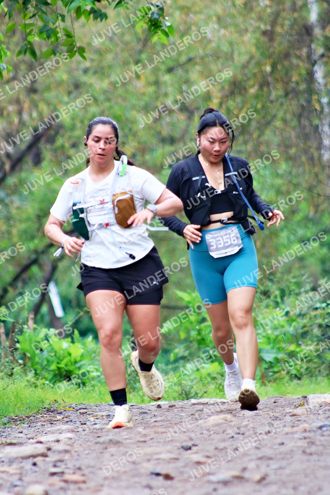 Foto del ULTRA TEQUILA 2026 en Tequila, Jalisco a las 08:31 · Ruta · dorsal 3356