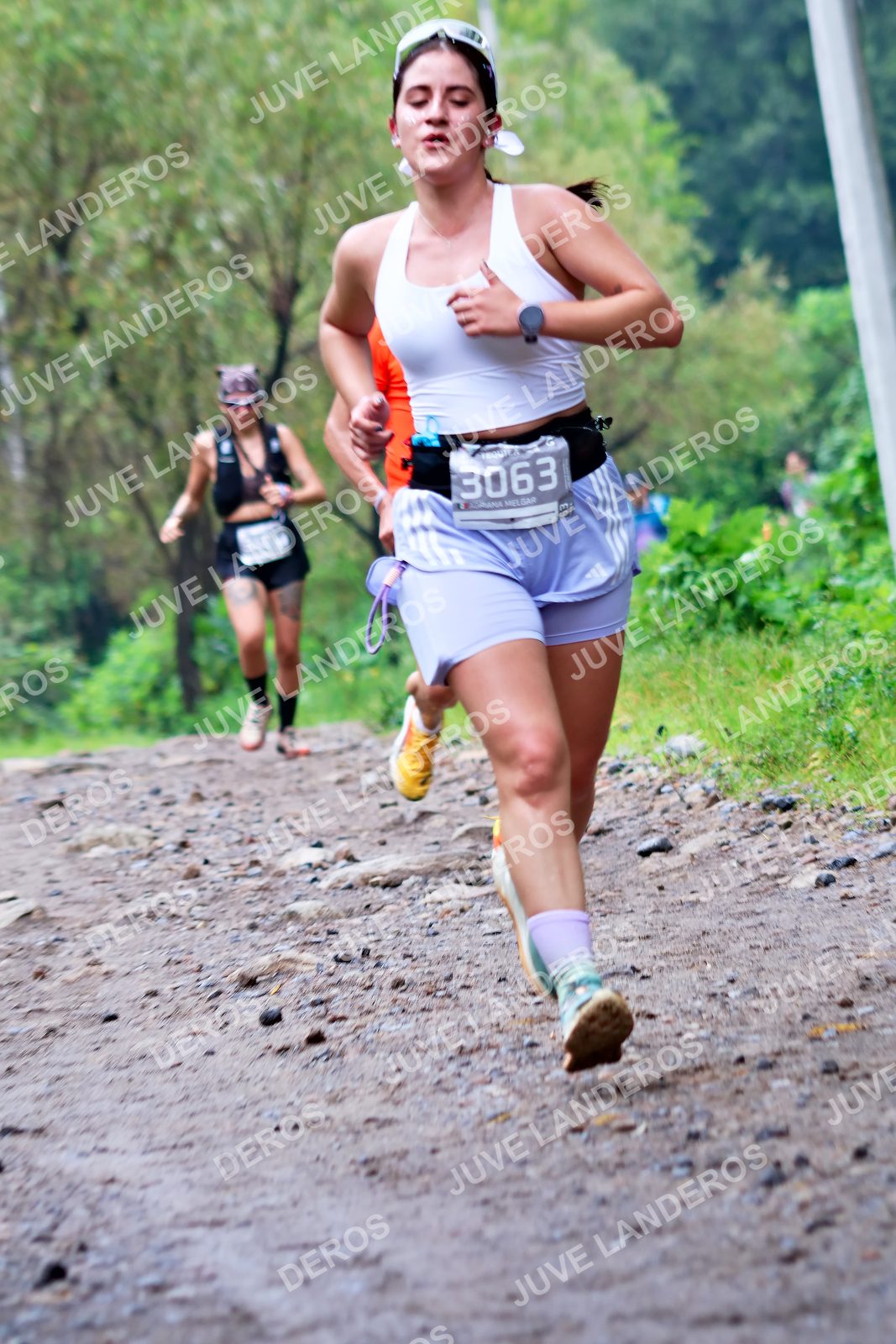 Foto del ULTRA TEQUILA 2026 en Tequila, Jalisco a las 08:23 · Ruta · dorsal 3063