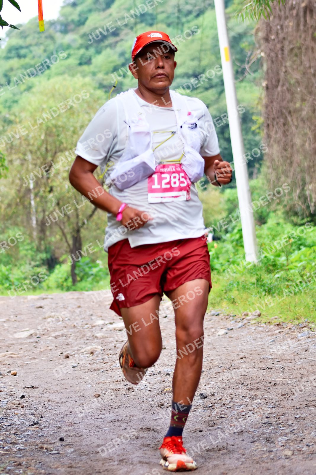 Foto del ULTRA TEQUILA 2026 en Tequila, Jalisco a las 08:52 · Ruta · dorsal 1285