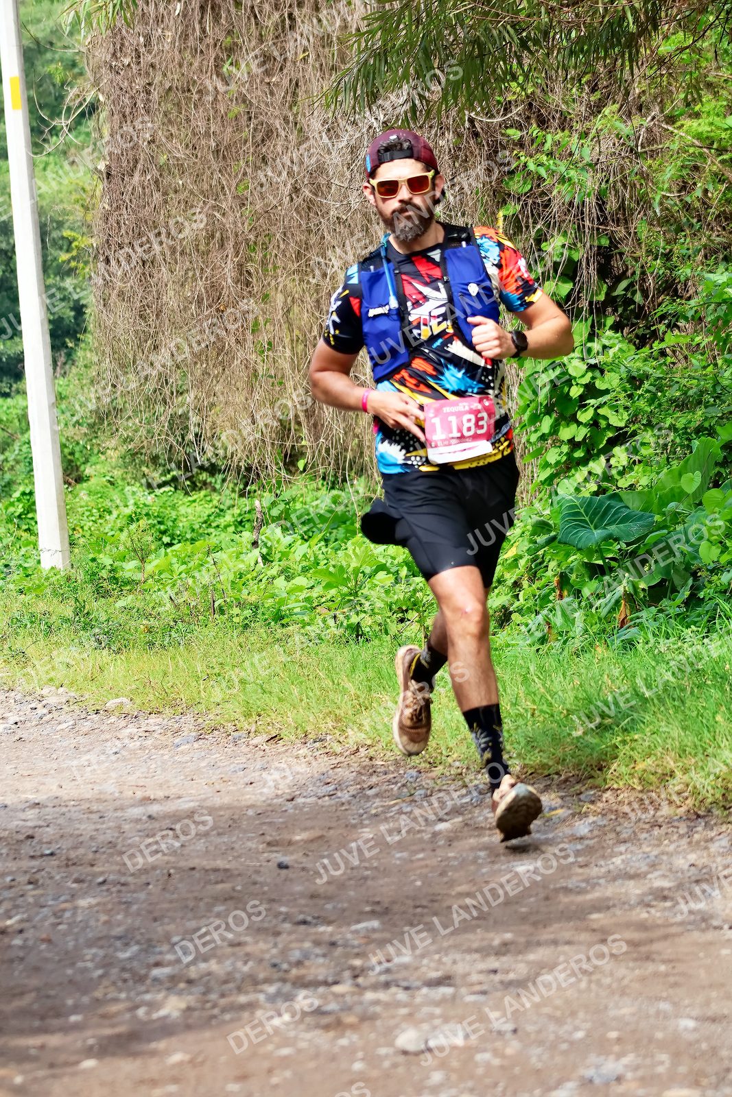 Foto del ULTRA TEQUILA 2026 en Tequila, Jalisco a las 09:38 · Ruta · dorsal 1183
