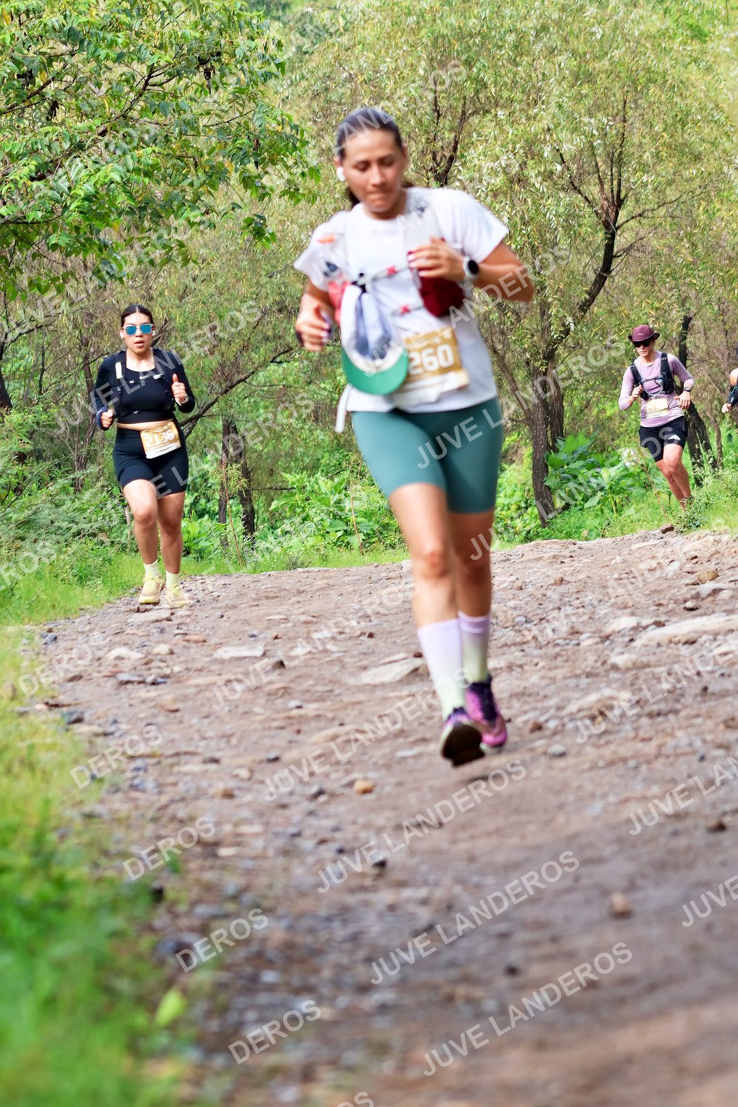 Foto del ULTRA TEQUILA 2026 en Tequila, Jalisco a las 09:04 · Ruta · dorsal 260, 2136