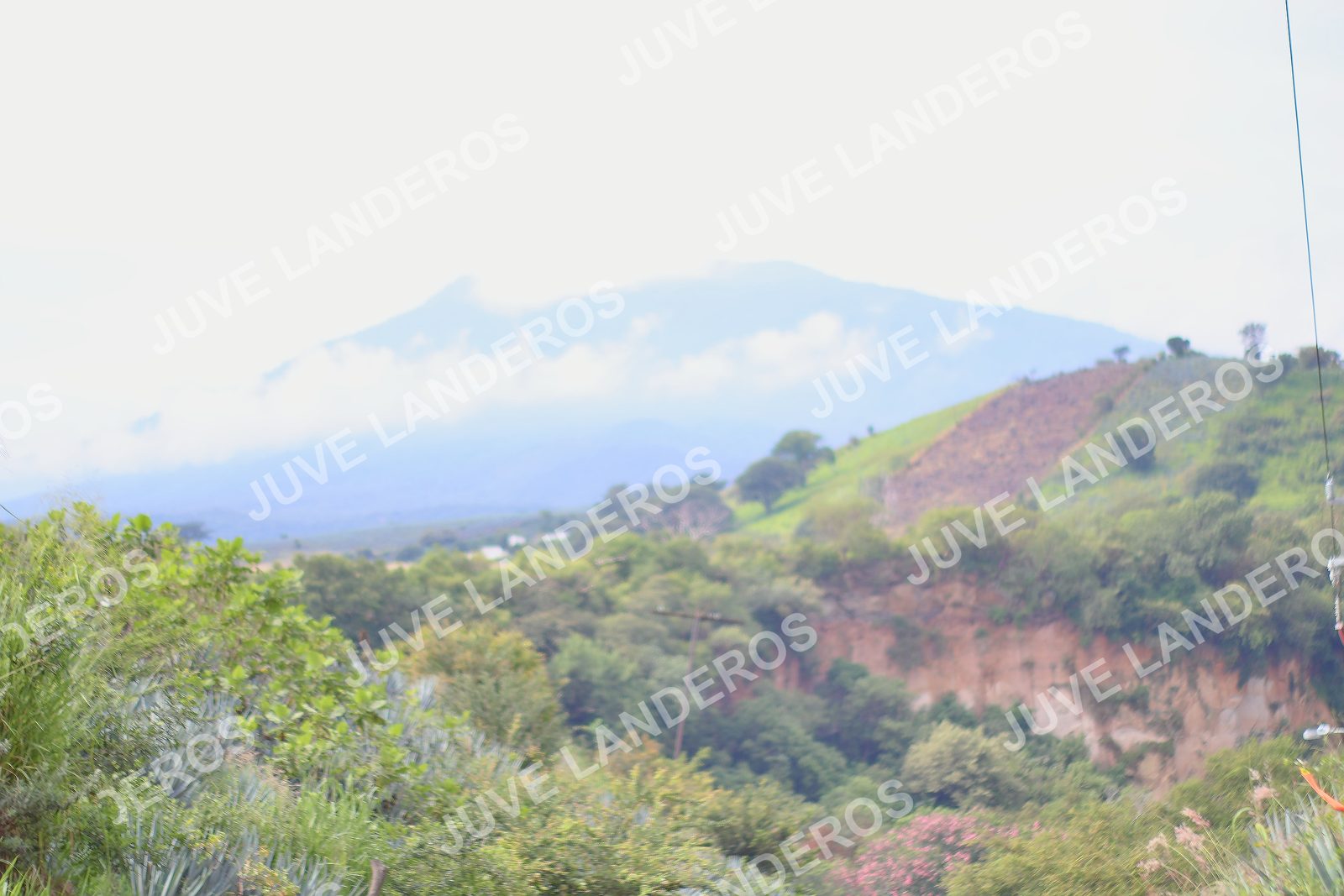 Foto del ULTRA TEQUILA 2026 en Tequila, Jalisco a las 09:55 · Ruta