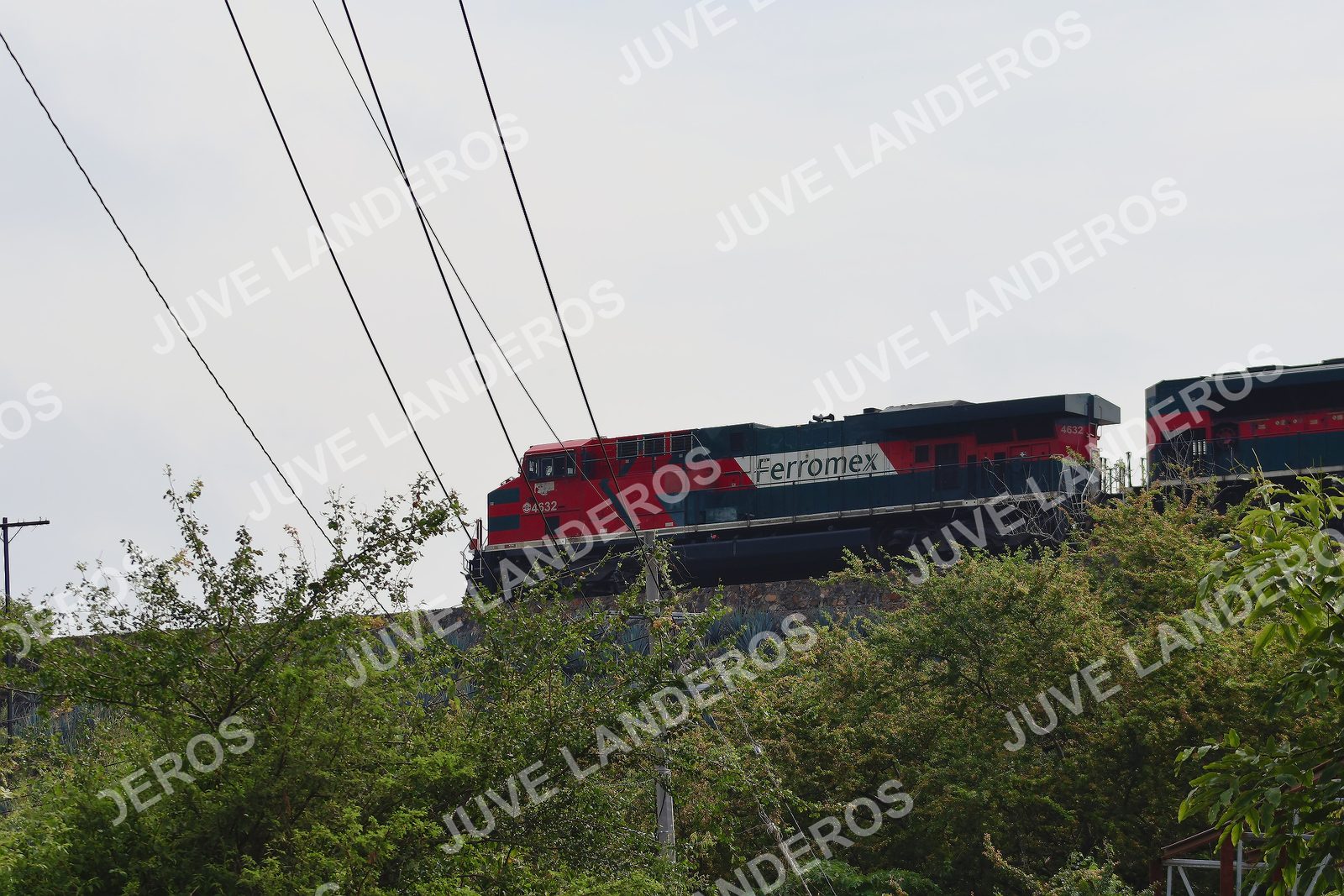 Foto del ULTRA TEQUILA 2026 a las 09:48