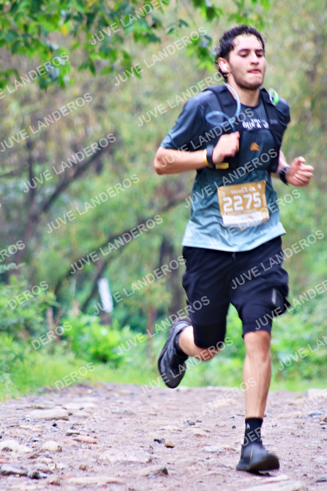 Foto del ULTRA TEQUILA 2026 en Tequila, Jalisco a las 08:33 · Ruta · dorsal 2275