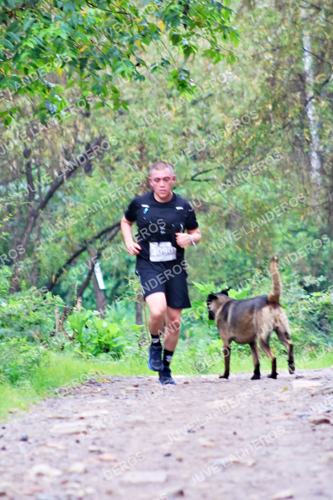 Foto del ULTRA TEQUILA 2026 en Tequila, Jalisco a las 08:18 · Ruta · dorsal 3090