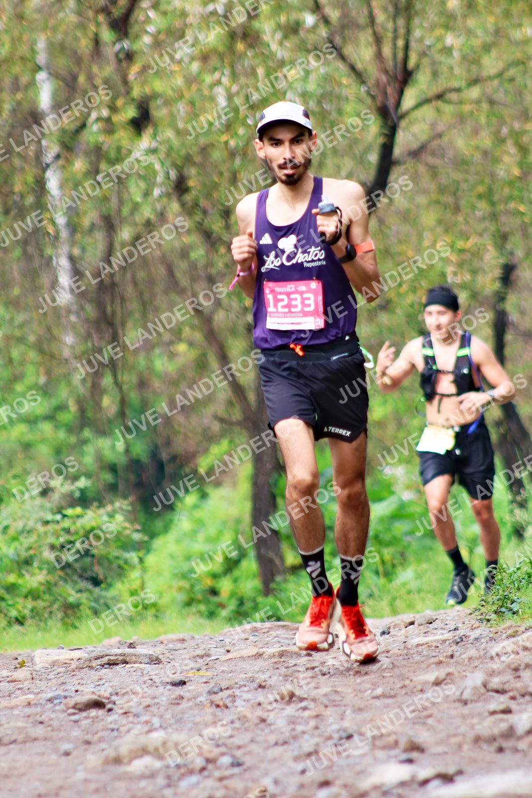 Foto del ULTRA TEQUILA 2026 en Tequila, Jalisco a las 08:46 · Ruta · dorsal 1233, 23