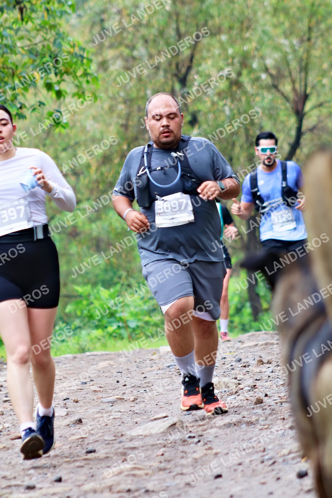 Foto del ULTRA TEQUILA 2026 en Tequila, Jalisco a las 08:25 · Ruta · dorsal 3120, 397, 3697