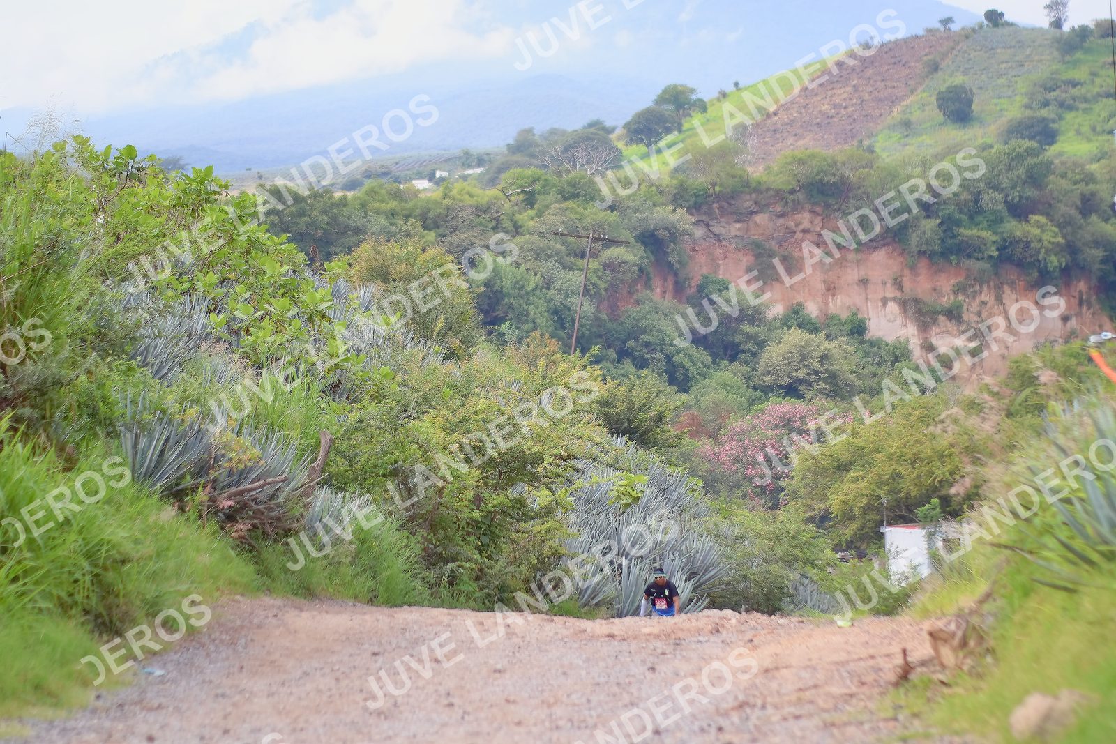 Foto del ULTRA TEQUILA 2026 a las 09:57