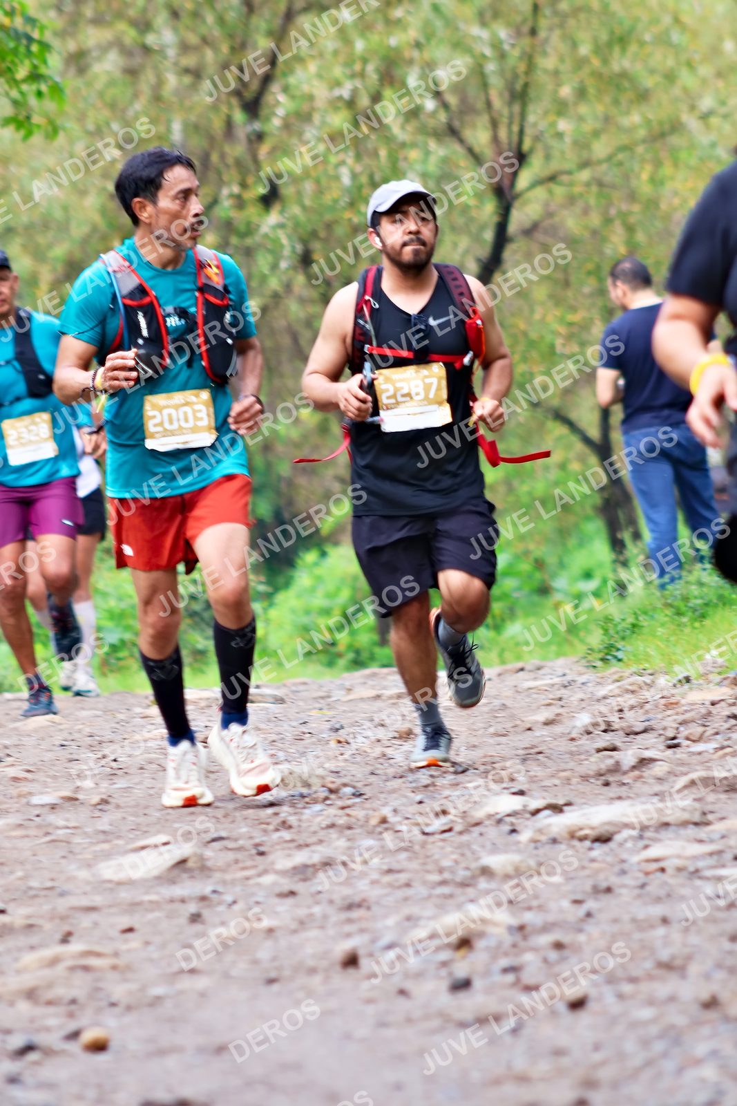 Foto del ULTRA TEQUILA 2026 en Tequila, Jalisco a las 08:42 · Ruta · dorsal 2003, 2328