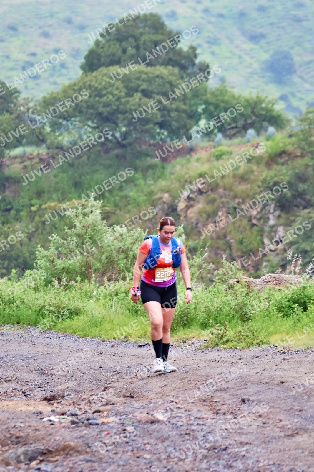 Foto del ULTRA TEQUILA 2026 en Tequila, Jalisco a las 07:39 · Ruta · dorsal 2202