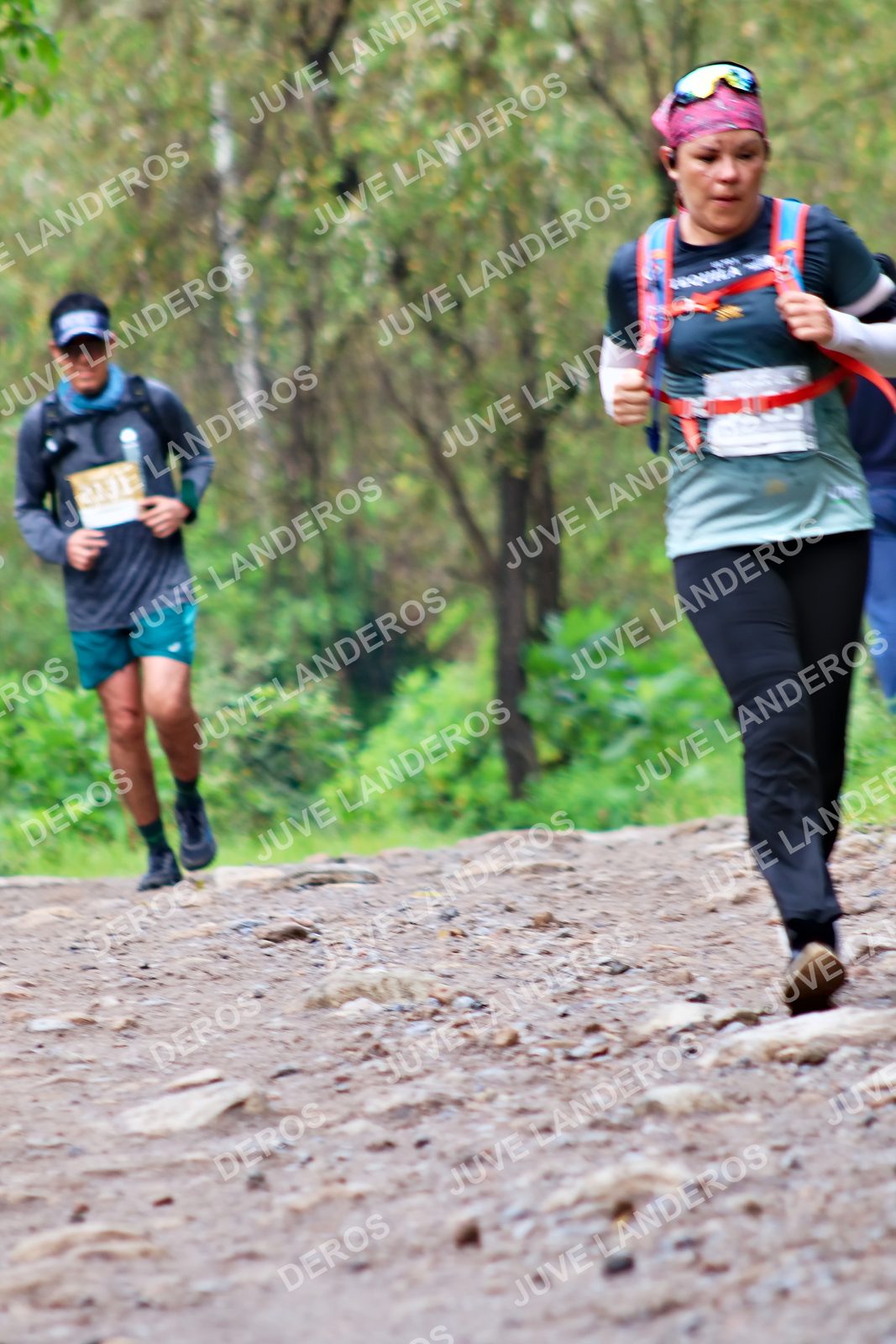 Foto del ULTRA TEQUILA 2026 en Tequila, Jalisco a las 08:41 · Ruta · dorsal 2131