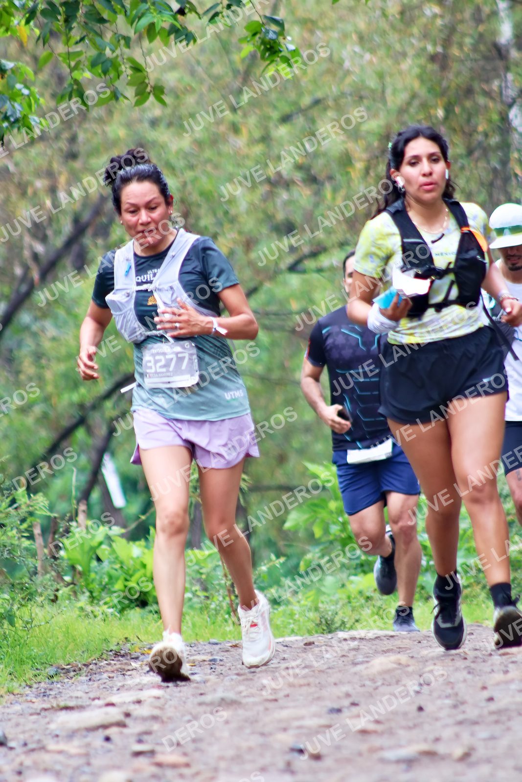 Foto del ULTRA TEQUILA 2026 en Tequila, Jalisco a las 08:28 · Ruta · dorsal 3277