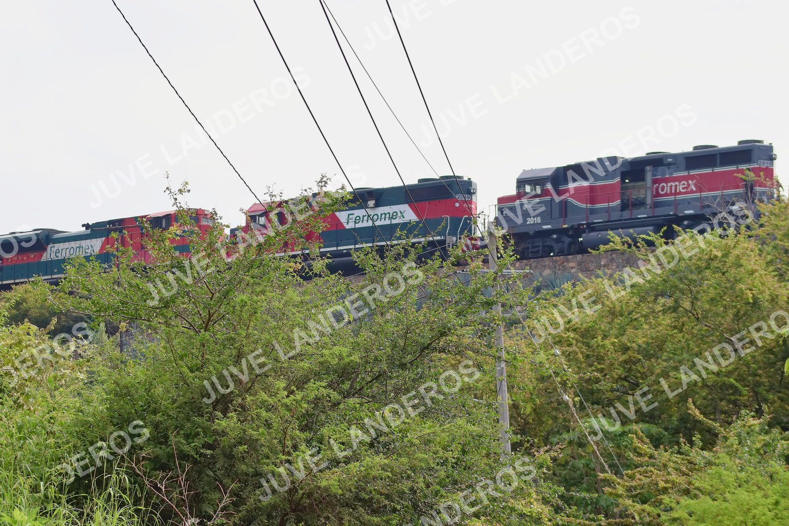 Foto del ULTRA TEQUILA 2026 en Tequila, Jalisco a las 09:48 · Ruta · dorsal 2016, 2019
