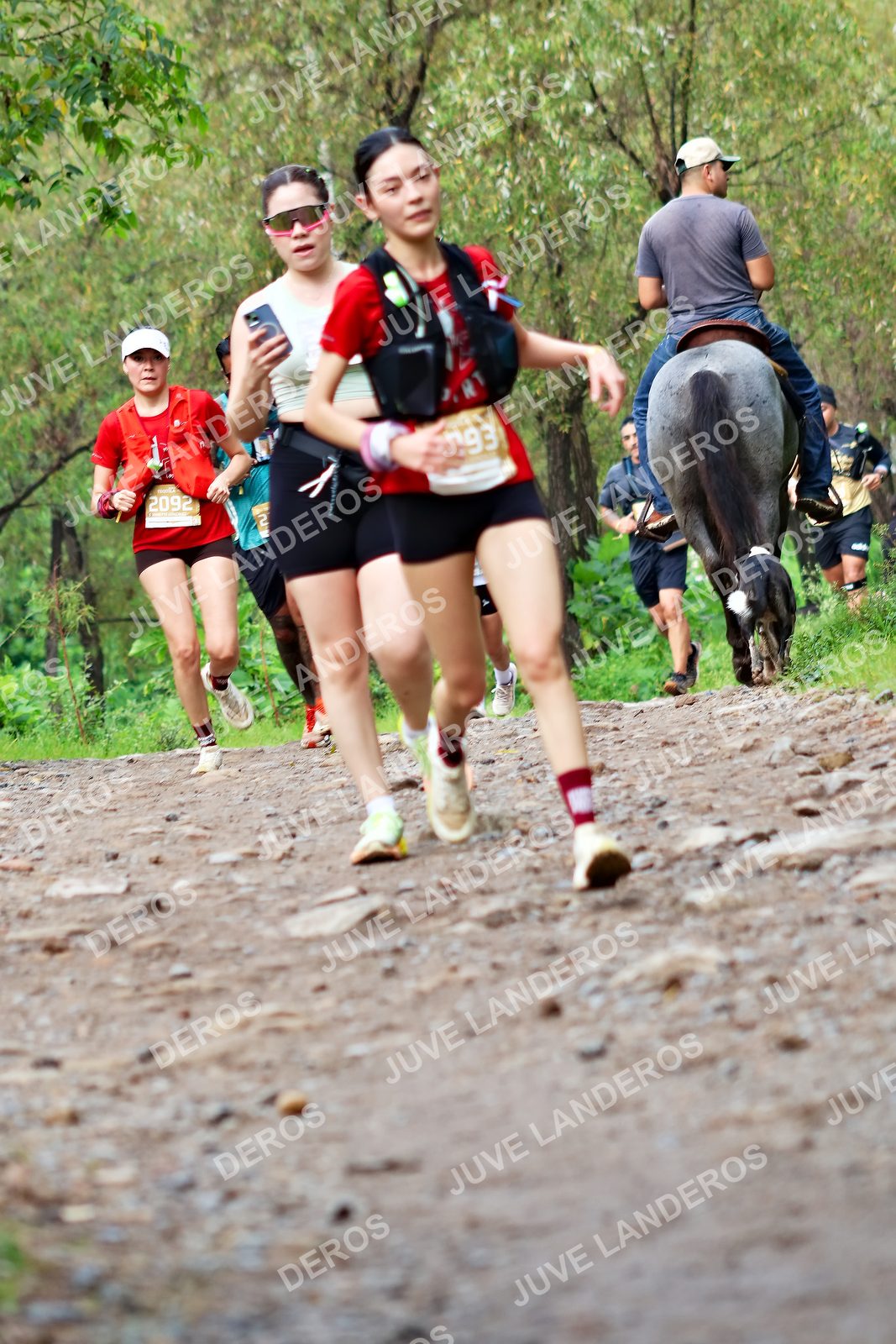 Foto del ULTRA TEQUILA 2026 en Tequila, Jalisco a las 08:48 · Ruta · dorsal 2092, 2