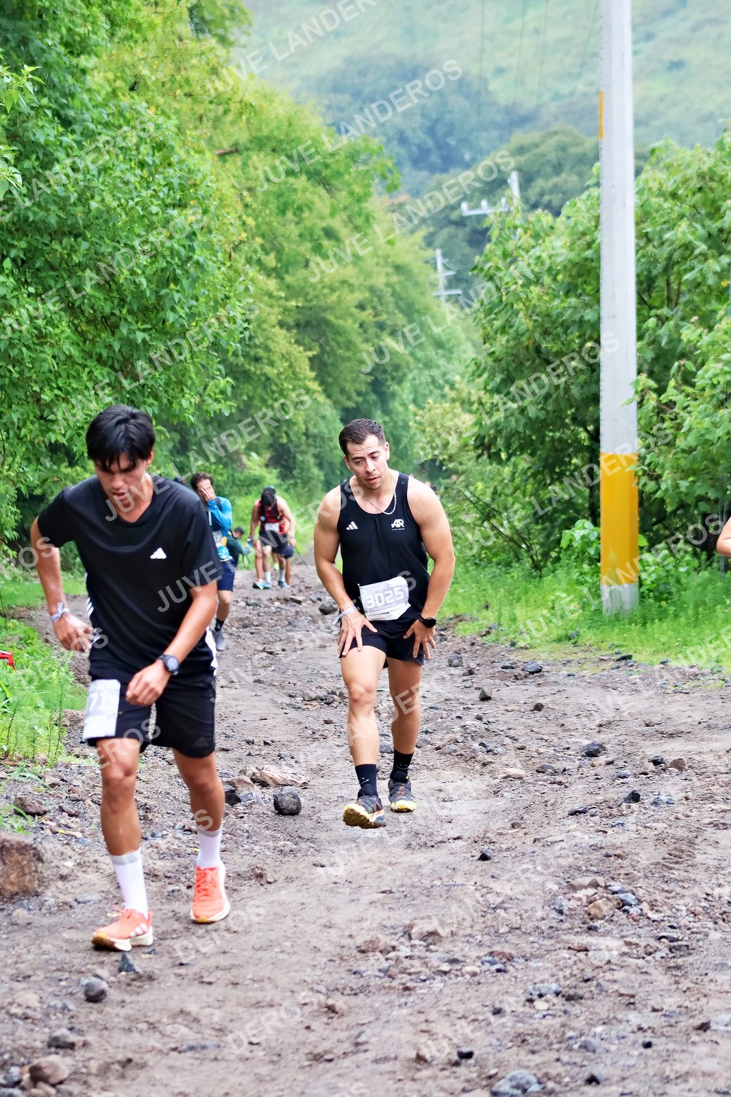 Foto del ULTRA TEQUILA 2026 en Tequila, Jalisco a las 07:47 · Ruta · dorsal 3025