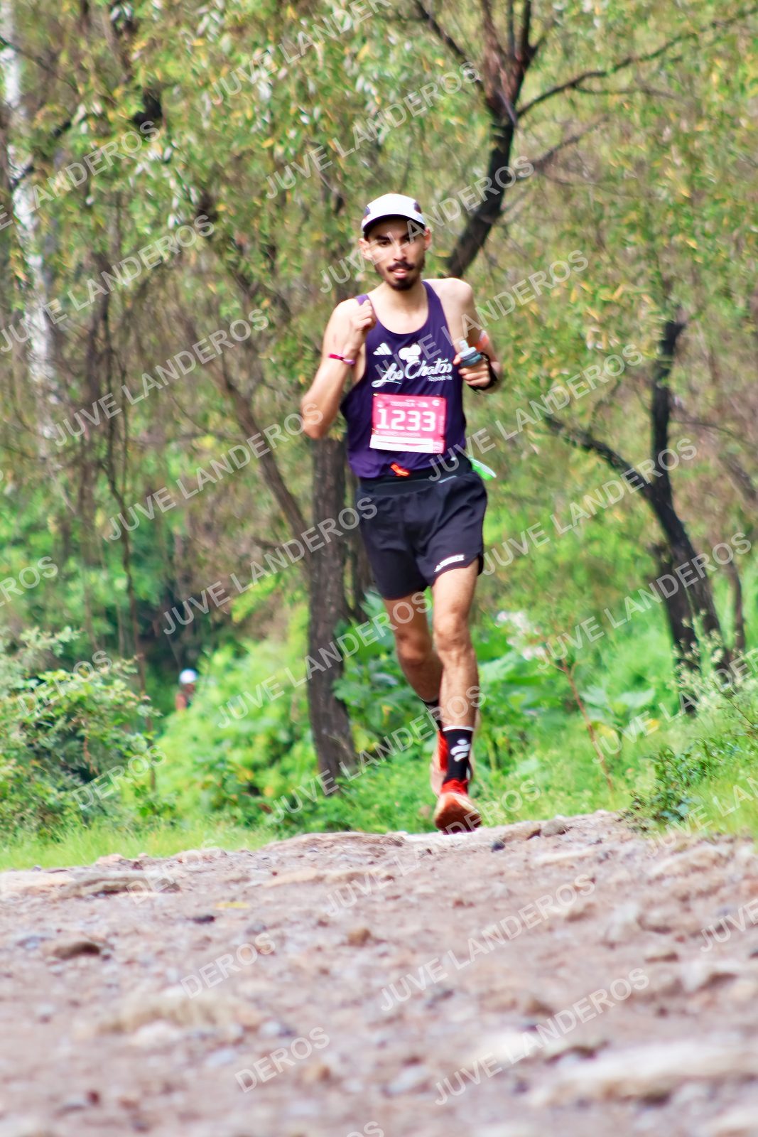 Foto del ULTRA TEQUILA 2026 en Tequila, Jalisco a las 08:46 · Ruta · dorsal 1233